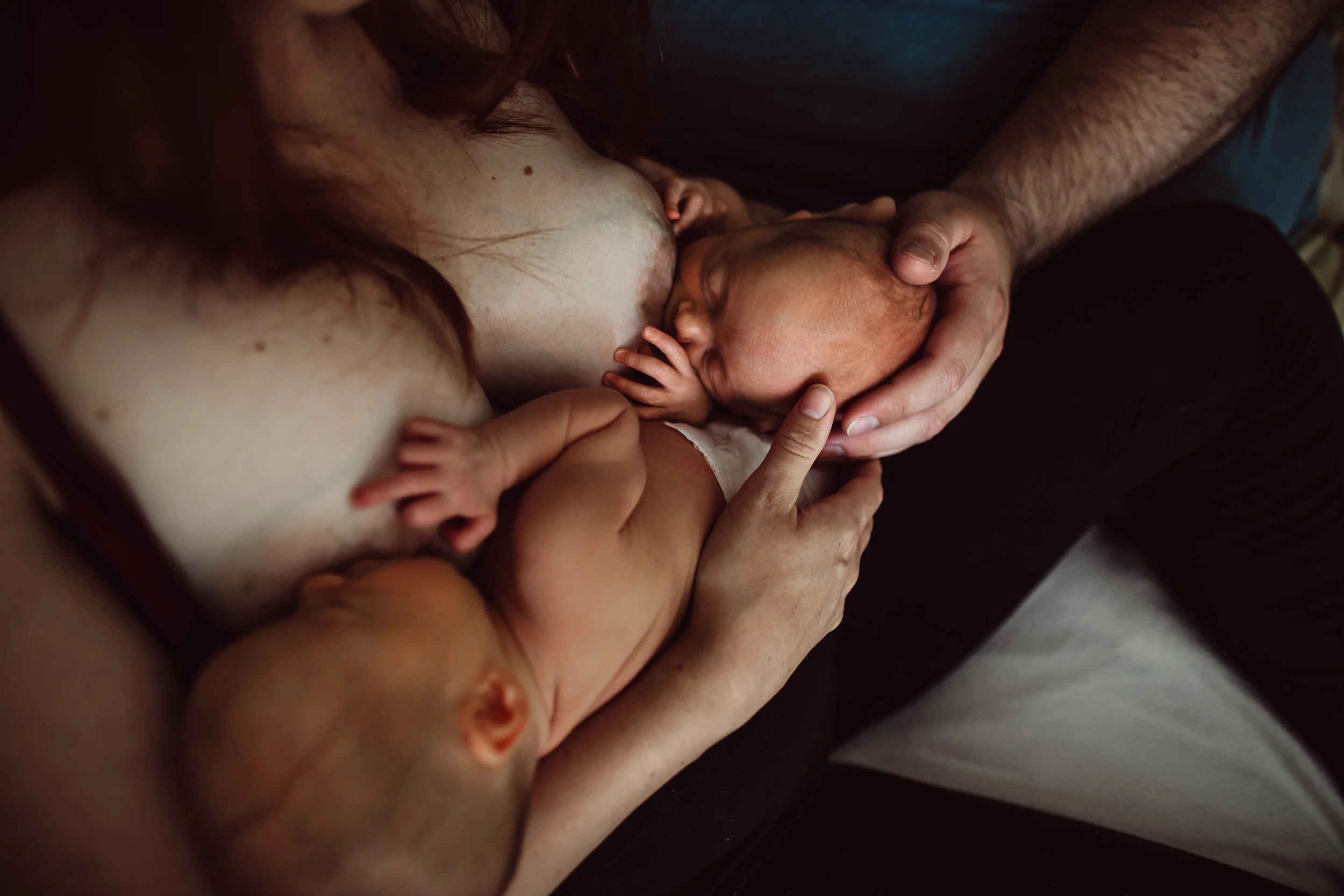 Wild Heart Photo + Film Jacksonville Newborn Photographer