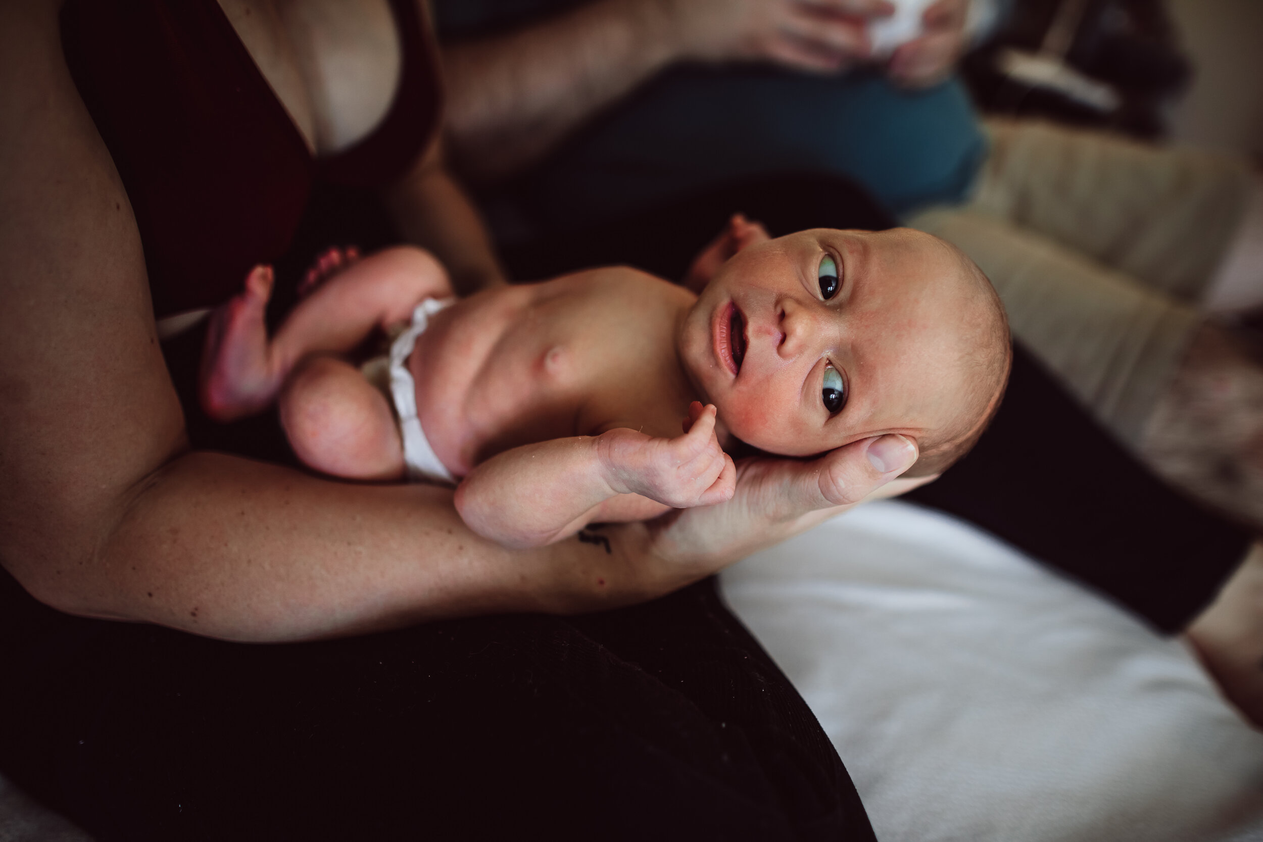 Wild Heart Photo + Film Jacksonville Newborn Photographer