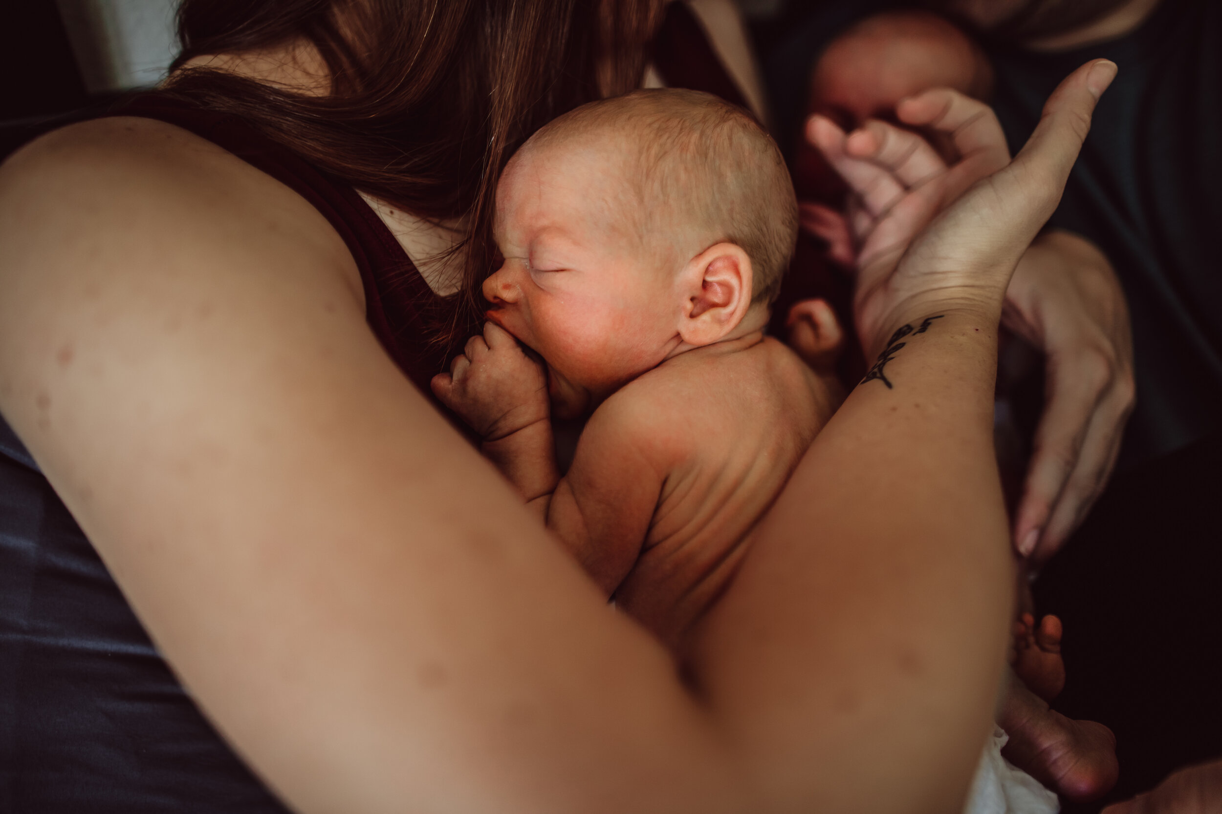Wild Heart Photo + Film Jacksonville Newborn Photographer