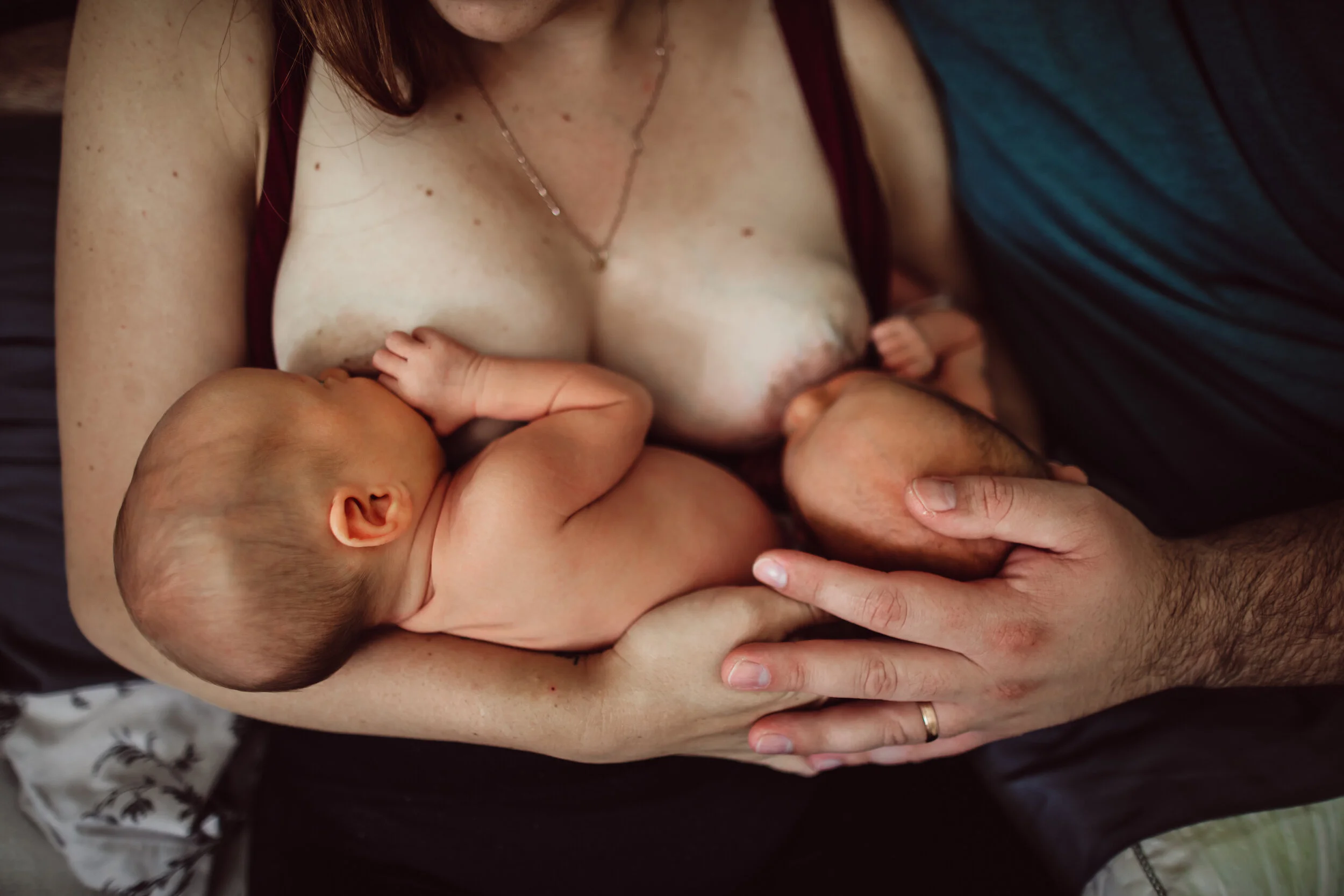 Wild Heart Photo + Film Jacksonville Newborn Photographer