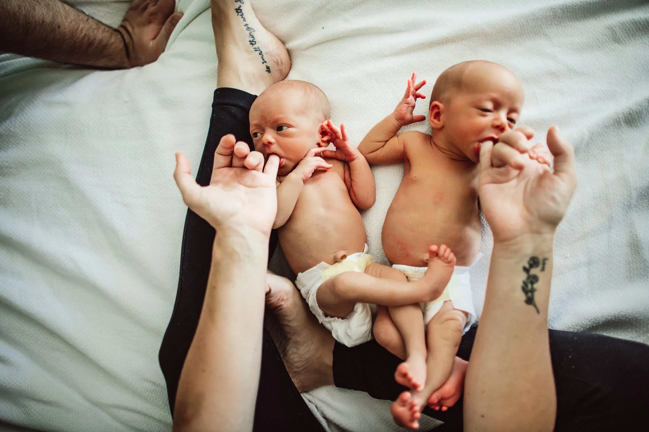 Wild Heart Photo + Film Jacksonville Newborn Photographer