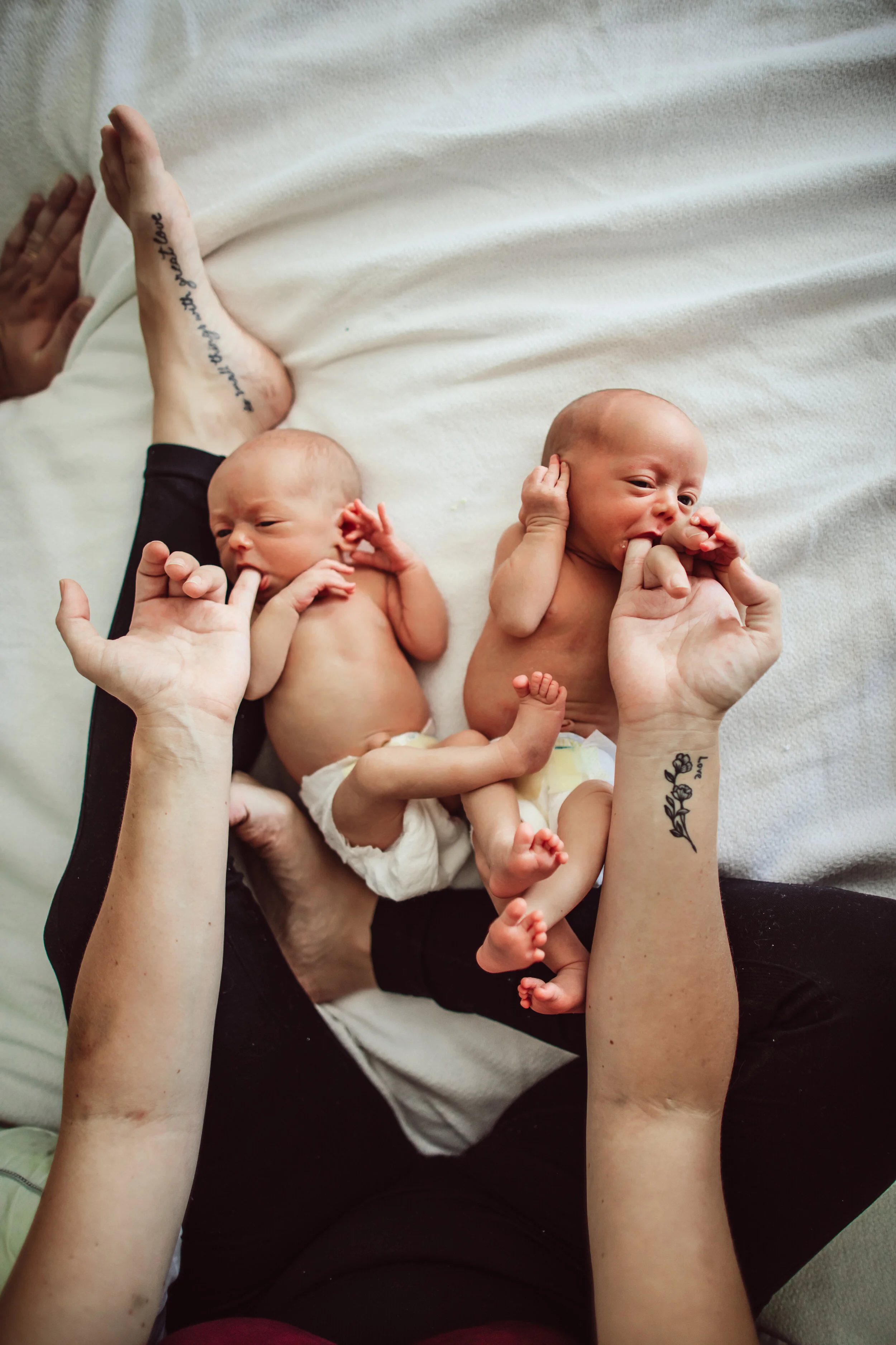 Wild Heart Photo + Film Jacksonville Newborn Photographer