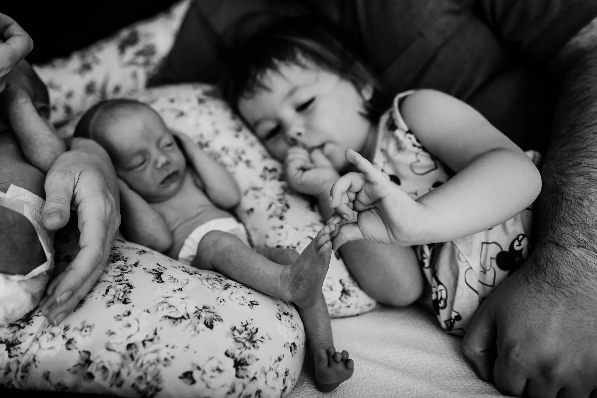 Wild Heart Photo + Film Jacksonville Newborn Photographer