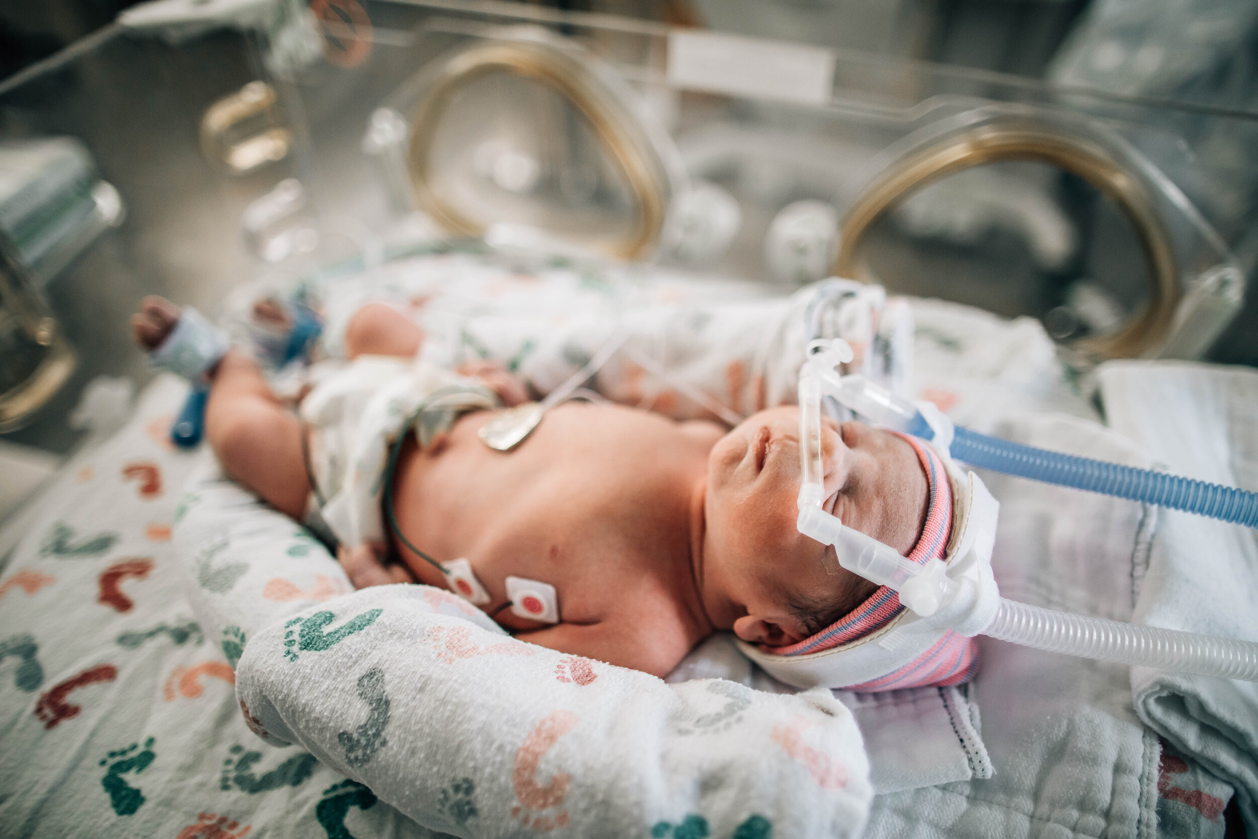 Wild Heart Photo + Film Jacksonville Birth Photographer