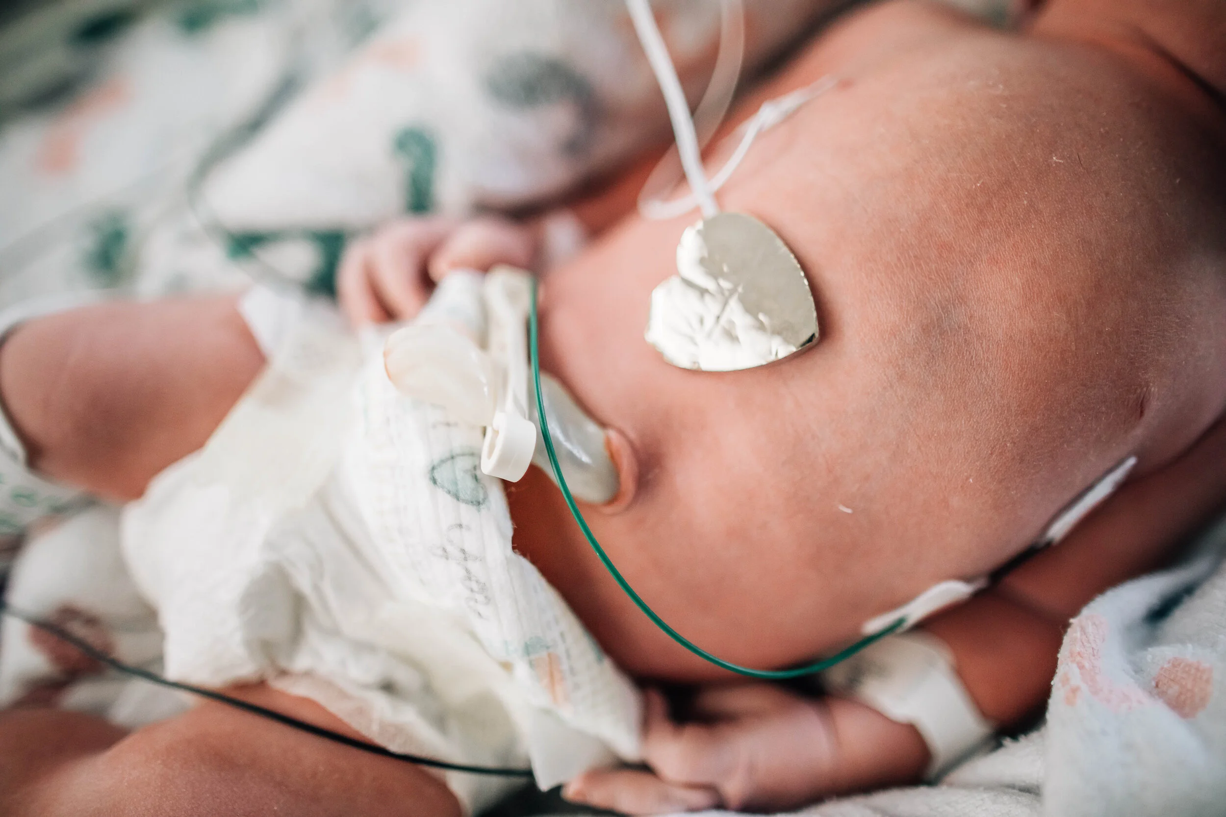 Wild Heart Photo + Film Jacksonville Birth Photographer