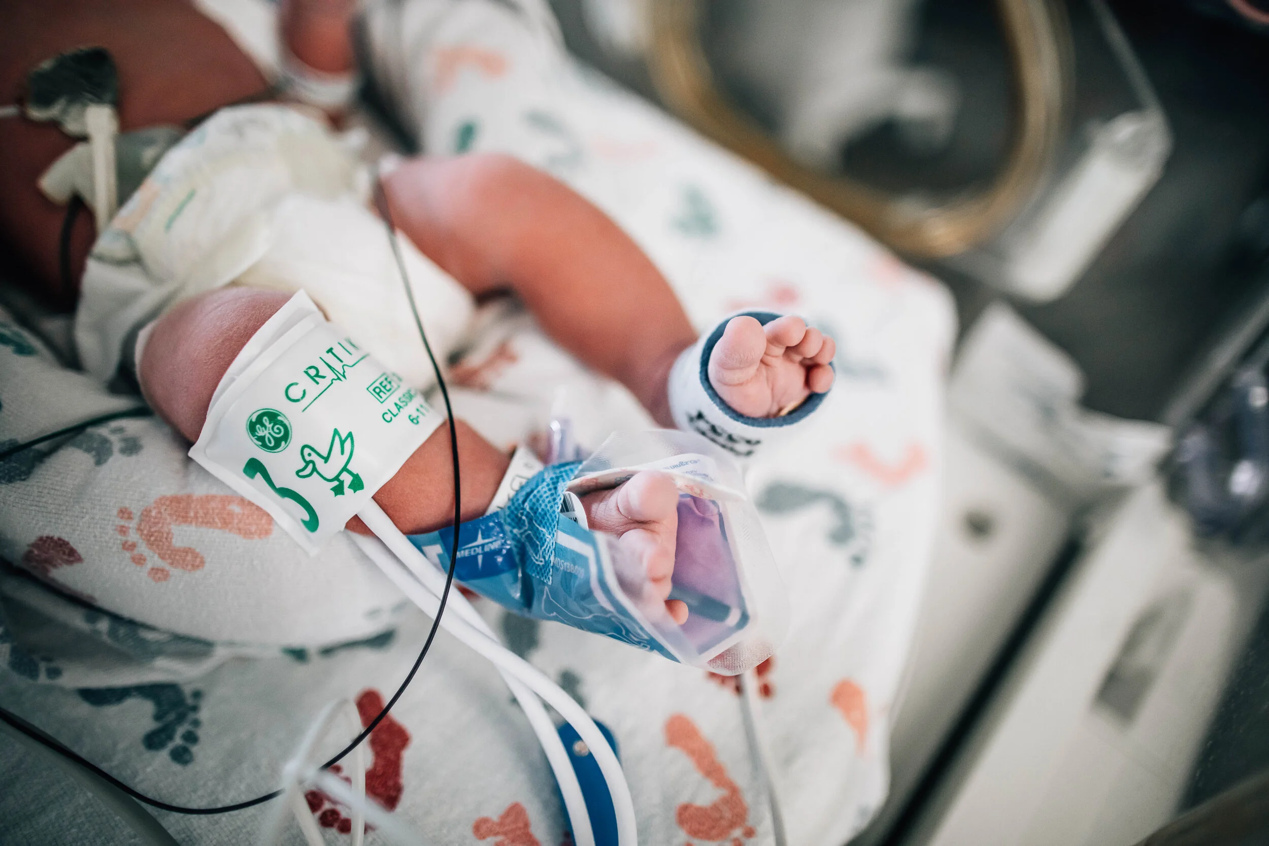 Wild Heart Photo + Film Jacksonville Birth Photographer