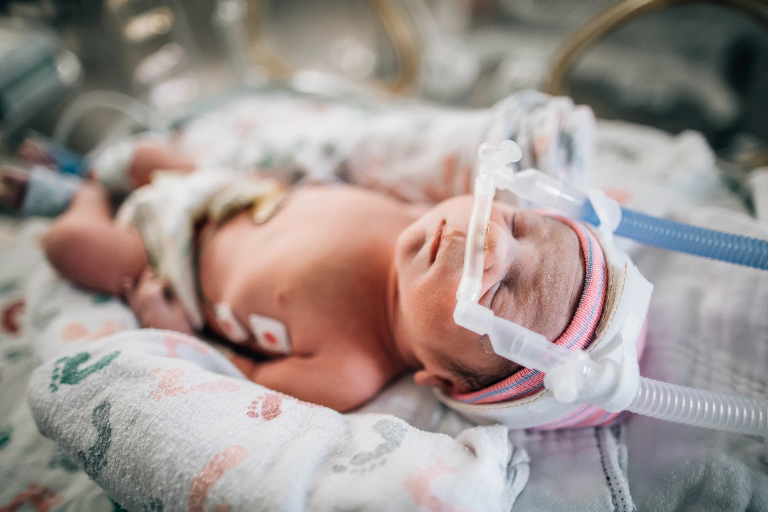 Wild Heart Photo + Film Jacksonville Birth Photographer