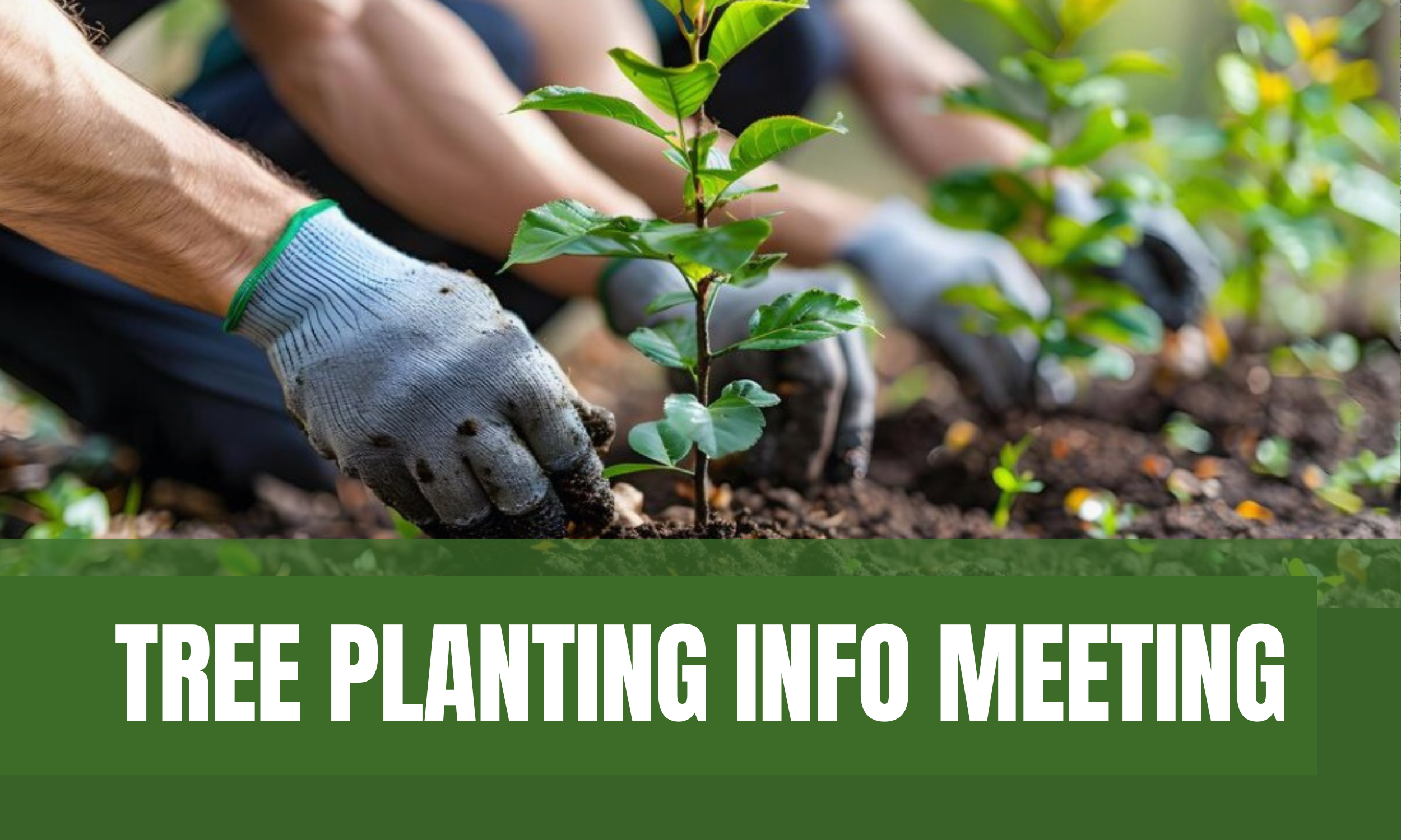 Neighborhood Tree Planting Info Meeting
