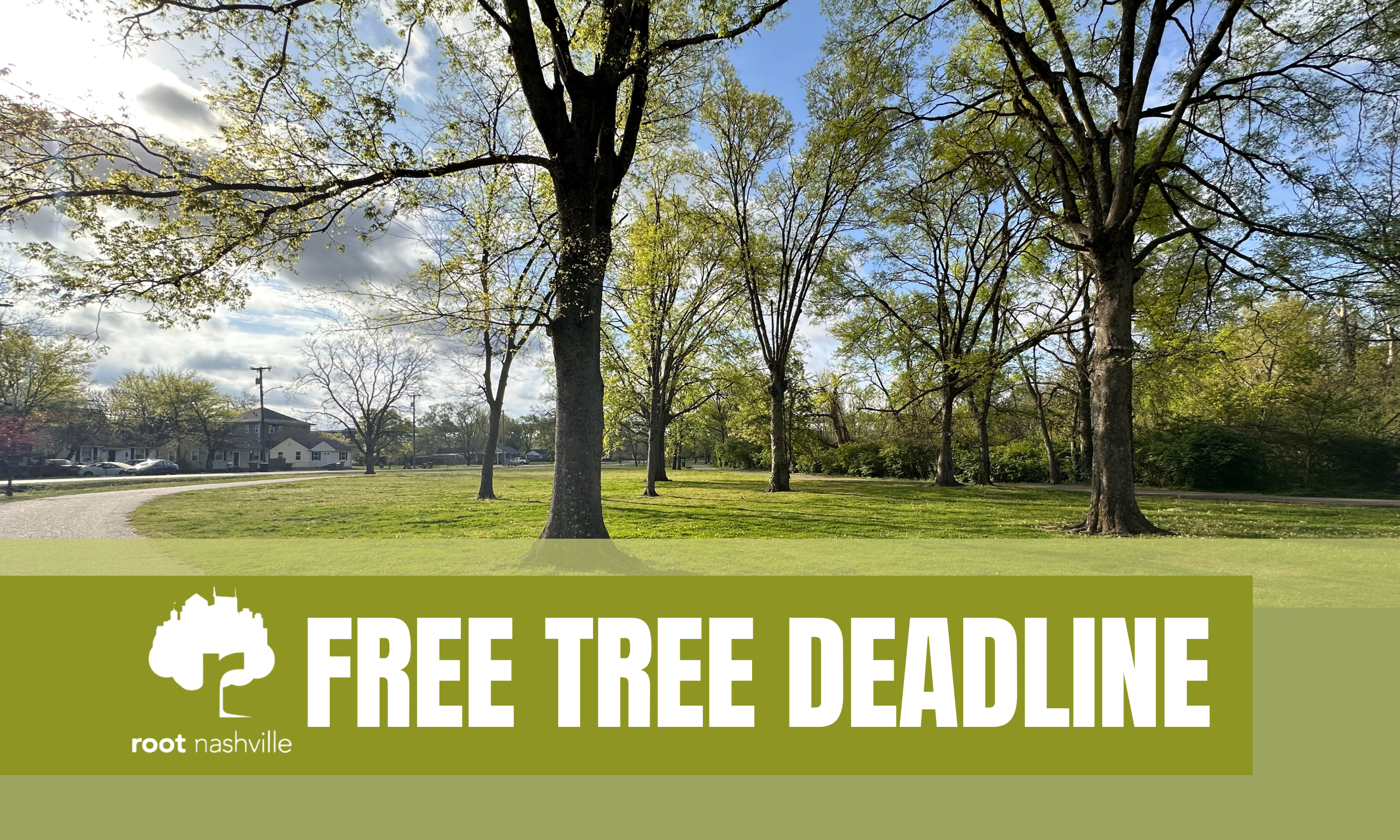 Root Nashville Free Tree Deadline