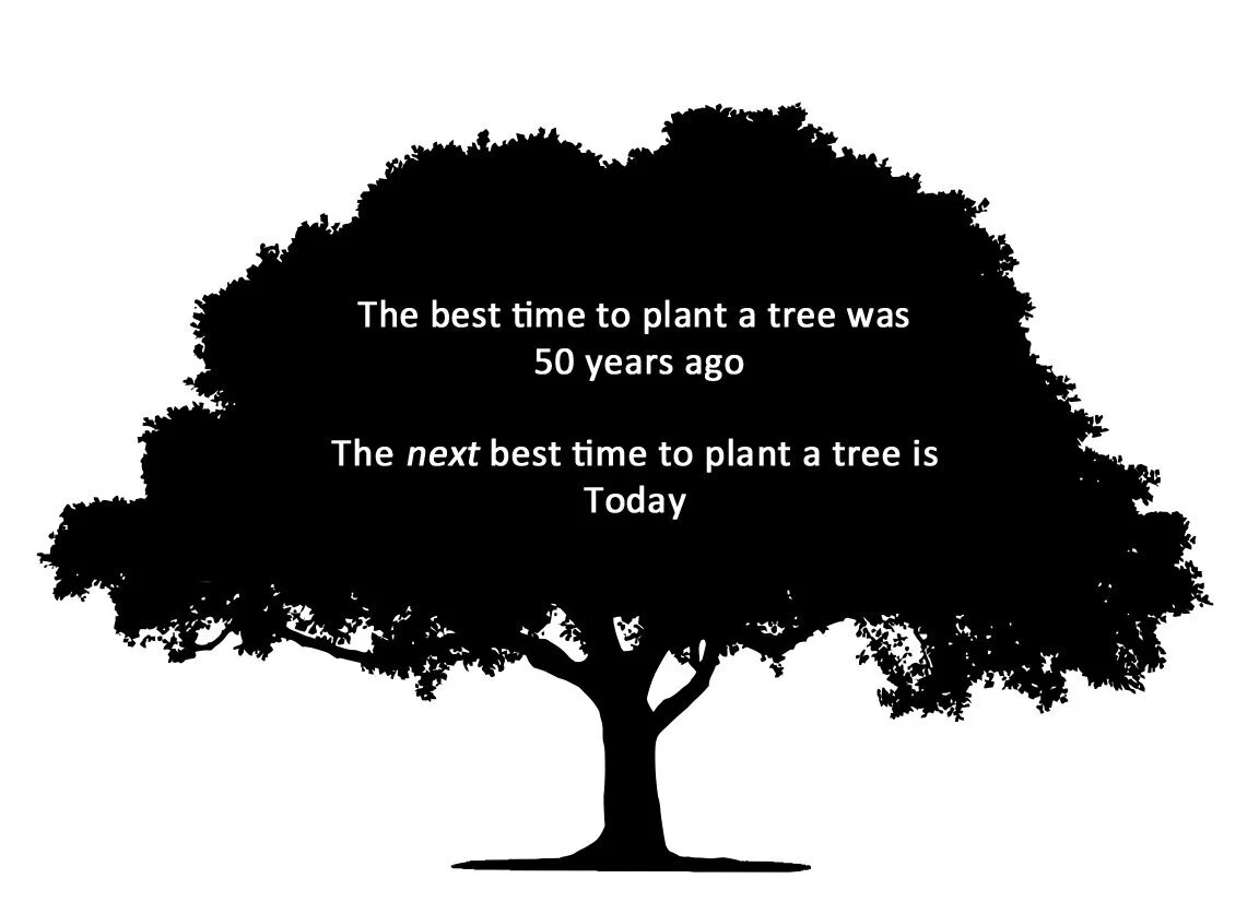 Best time to plant a tree BL.png