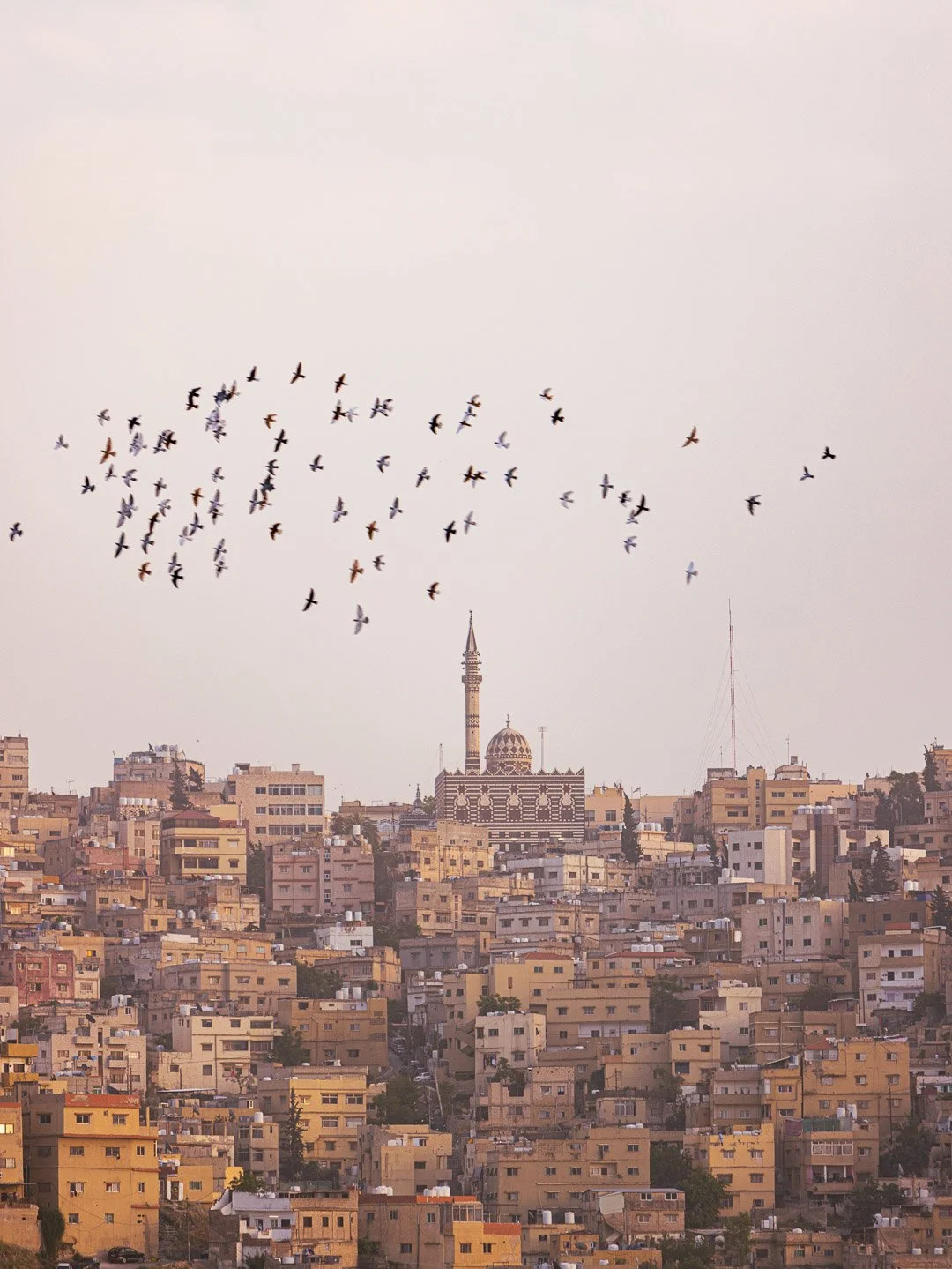 Sunset Serenade in Amman.jpg