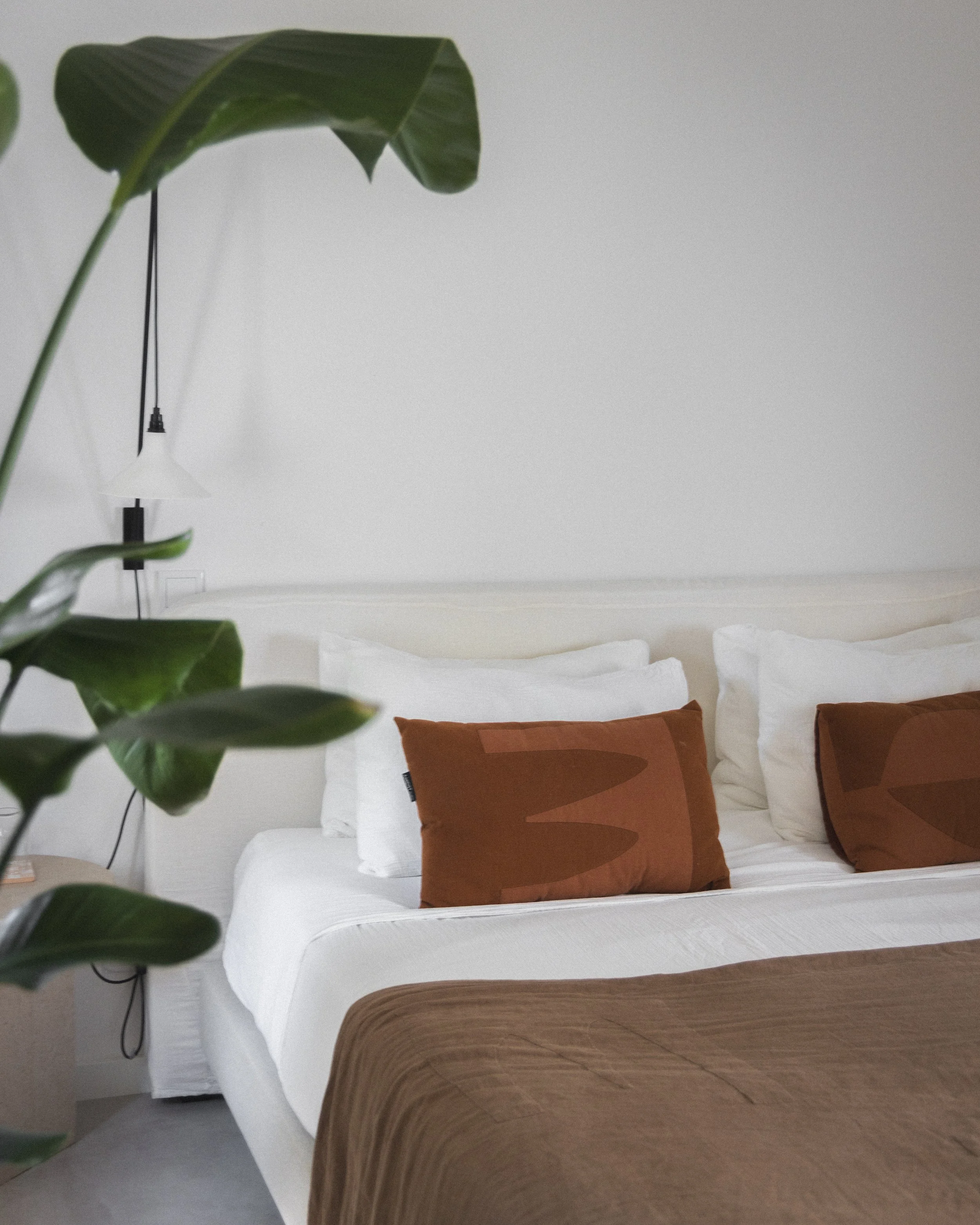 AmagoCasaLenta_©StudioVF17 9A6272.jpg