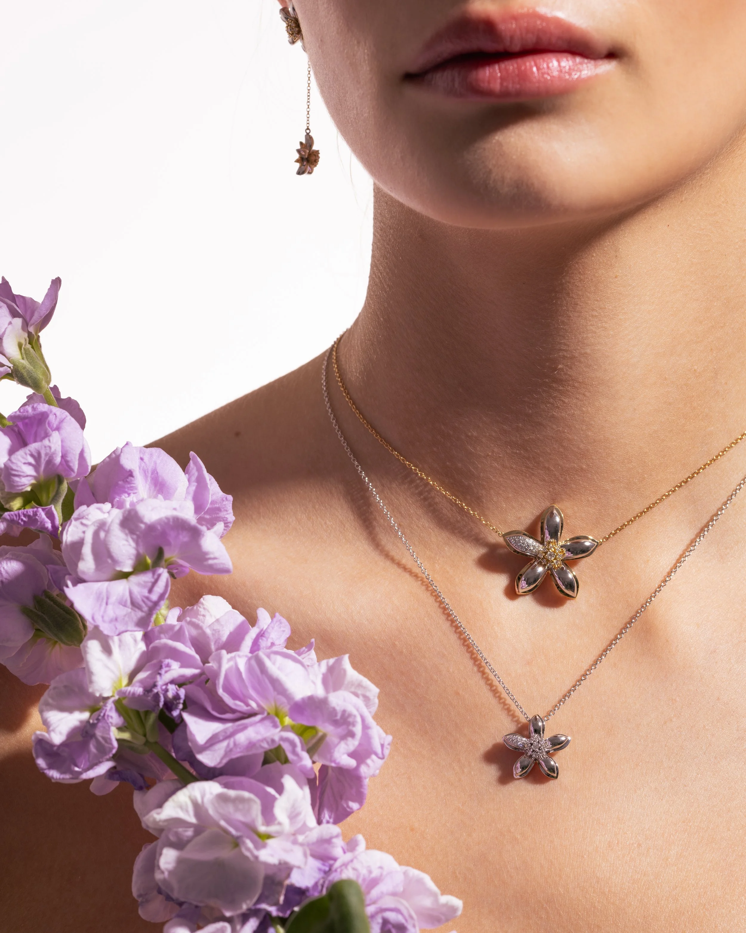 Chiarelli 28-04-1626-Edit.jpg