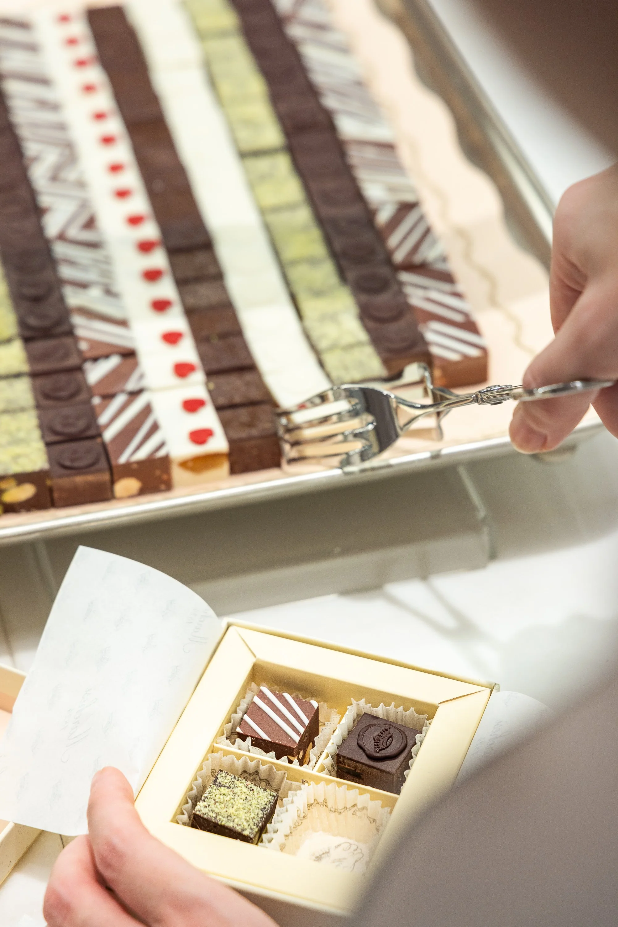 MARCHESI X HARRODS_ (8).jpg