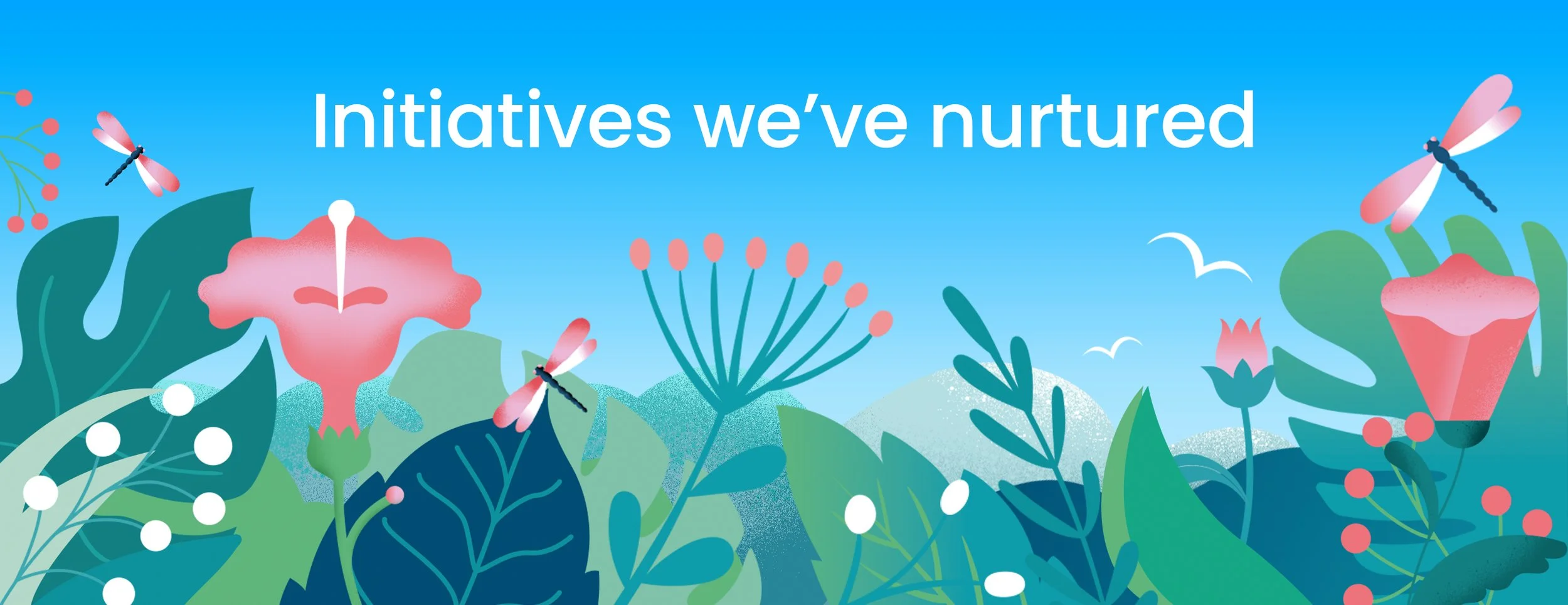 Initiatives copy.jpg