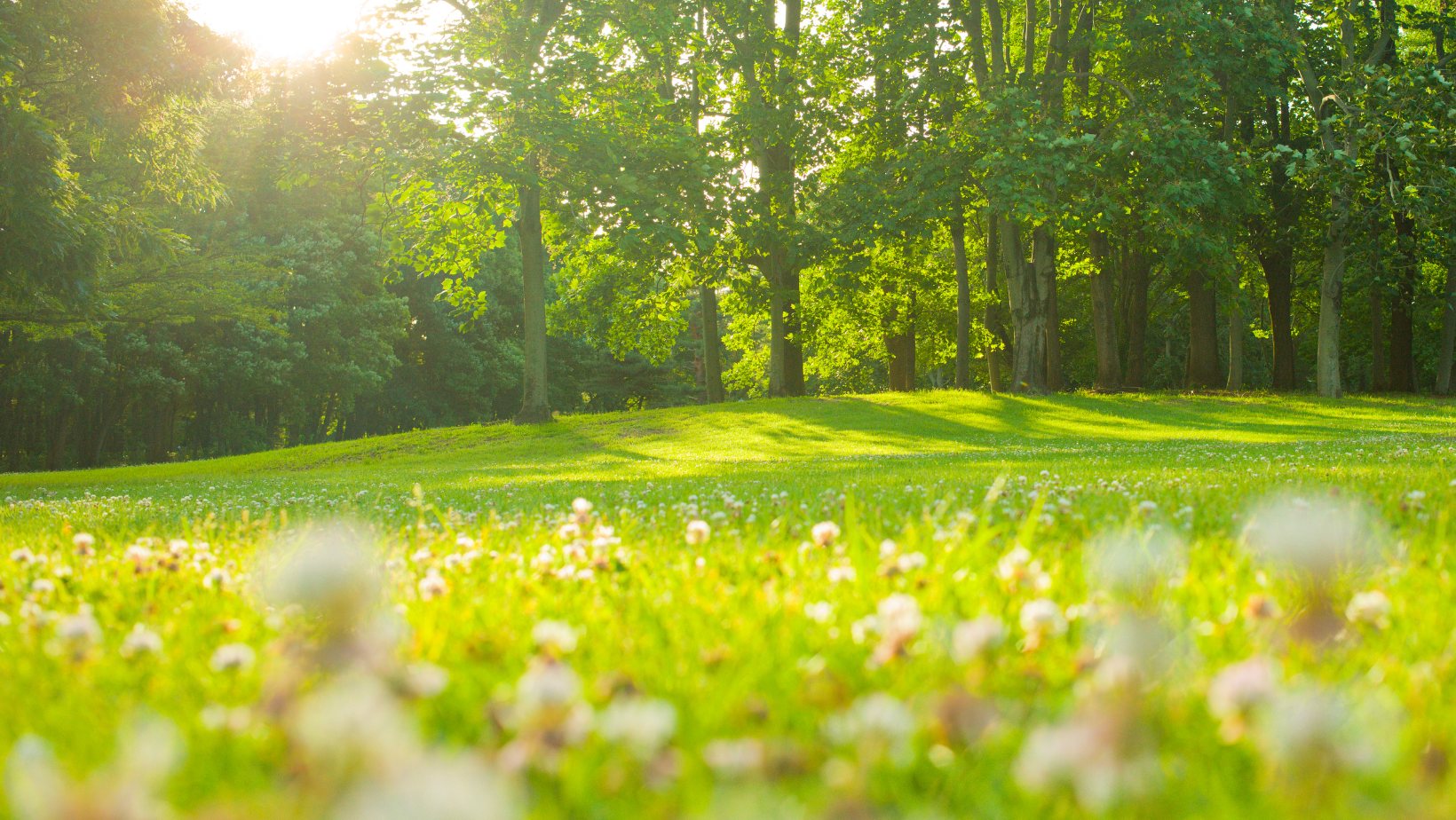 White Keyboard Photo Music Event Facebook Cover.png