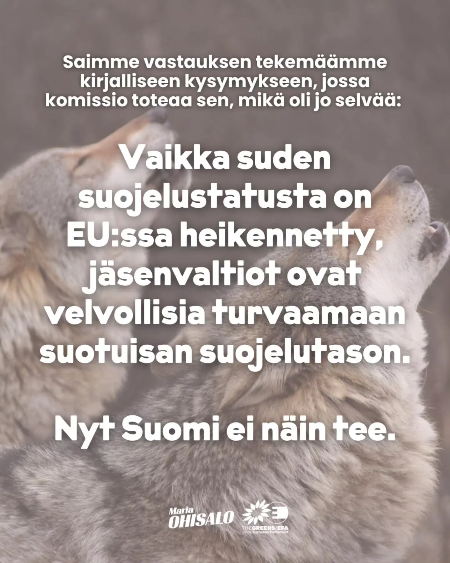 Saimme vihdoin EU:n ymp&auml;rist&ouml;komissaari Roswallilta vastauksen @villeniinisto kanssa tekem&auml;&auml;mme kirjalliseen kysymykseen suden mets&auml;styksest&auml; Suomessa. 

Komissio toteaa sen, mik&auml; oli jo selv&auml;&auml;: vaikka sud