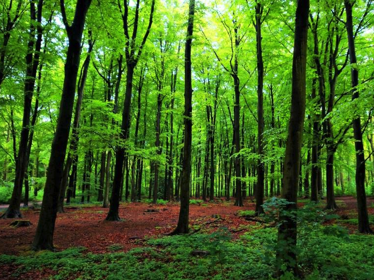 Our environment matters