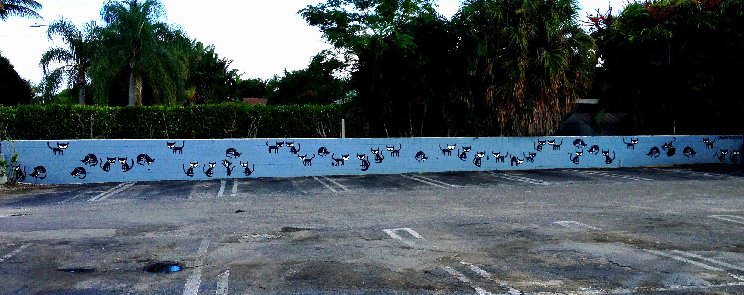   Echoes  mural commissioned by Howley’s Restaurant. part of my Cats series 200’w x 4’h 4700 S Dixie Hwy, West Palm Beach, FL, 33405. 2015 