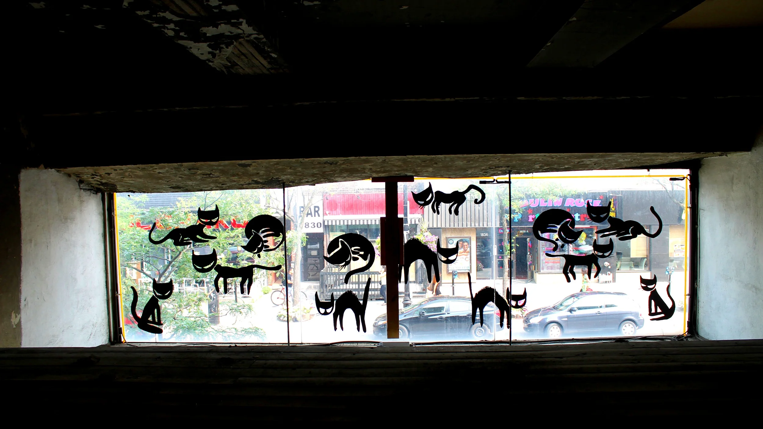 Cats Variation mural on glass facade for BBP Centre D Art, Montreal. 2014