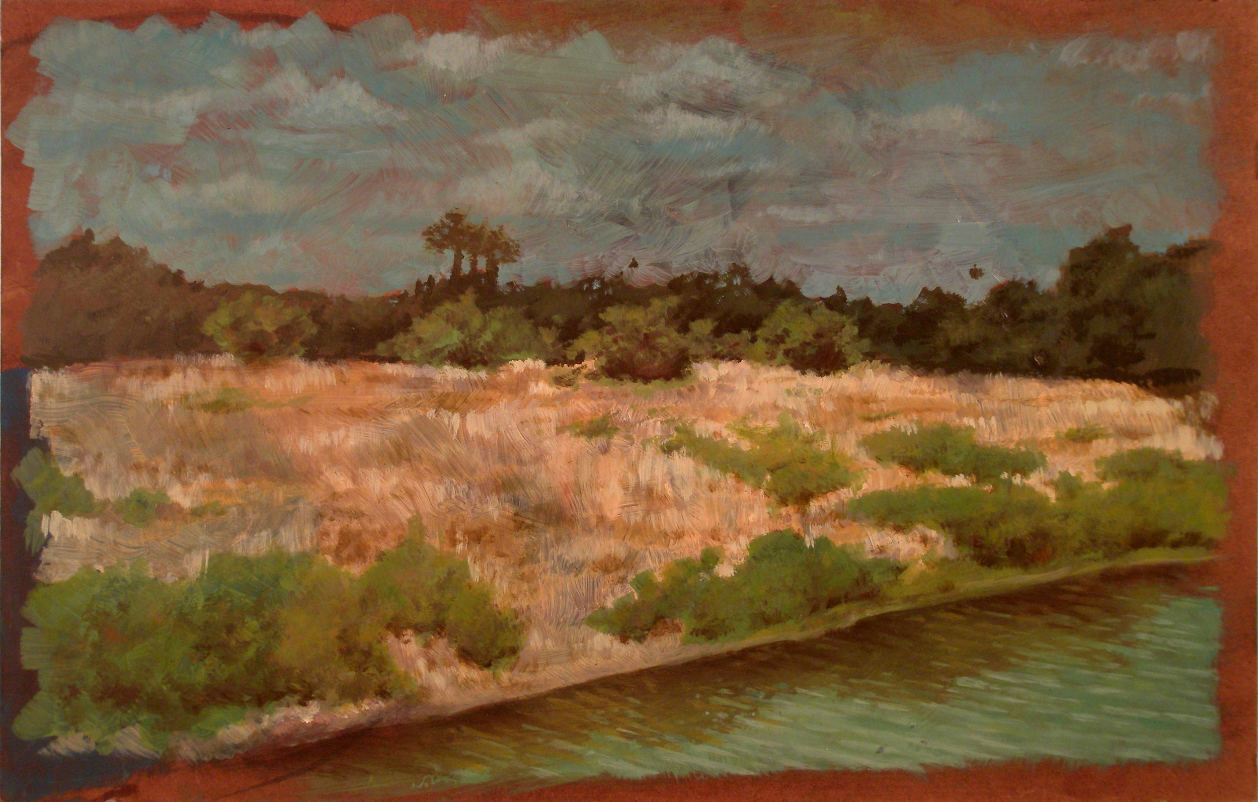   Myakka  oil on masonite, Myakka River State Park. 2012    owned by Private Collector    exhibited -  Daggerwing Nature Center, Boca Raton, FL 2016  