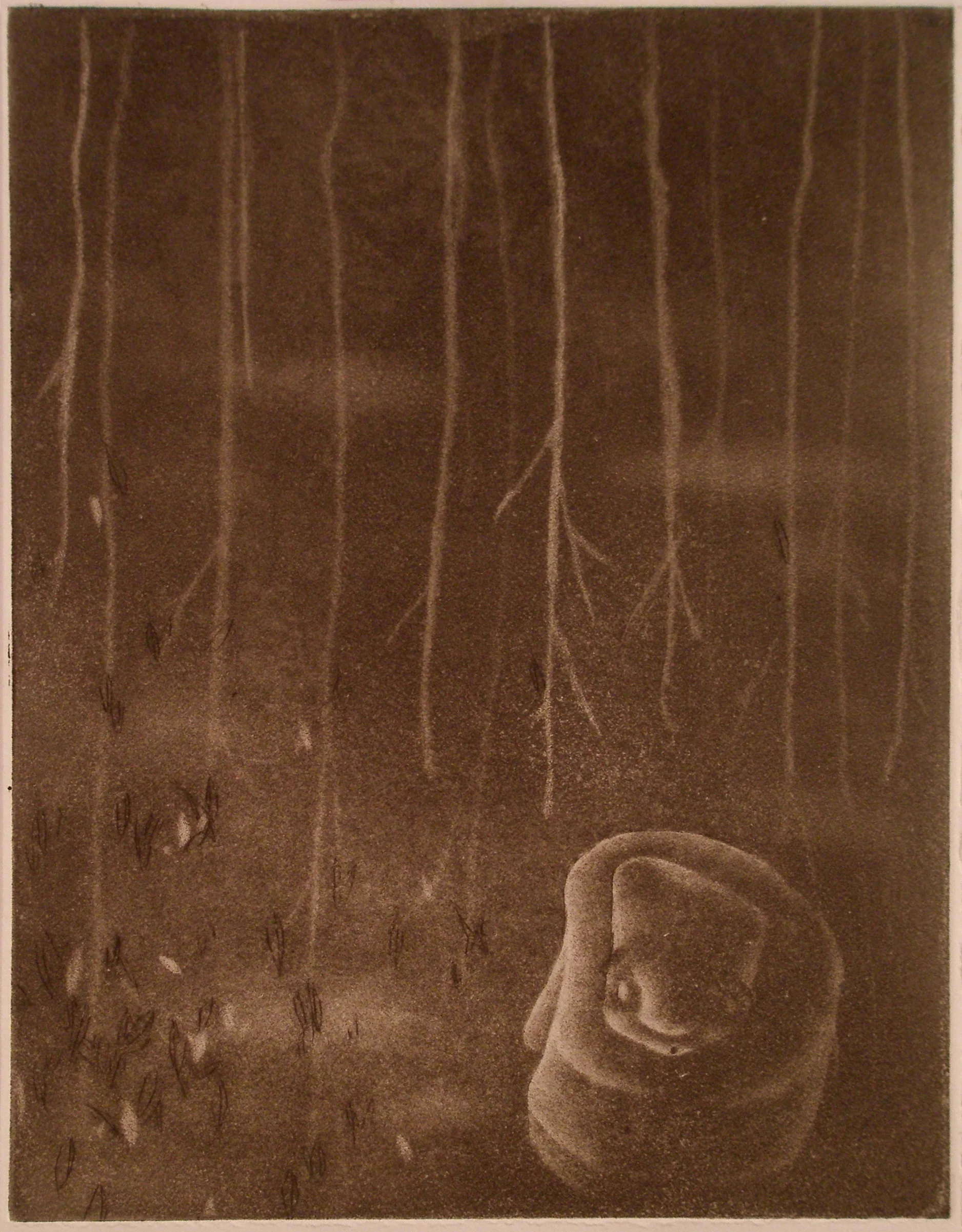 Upside Down Forest mezzotint. 2008