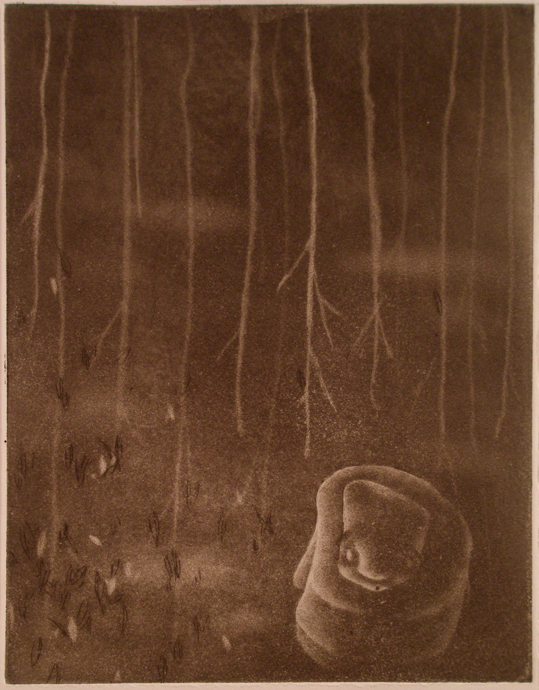   Upside Down Forest  mezzotint. 2008 