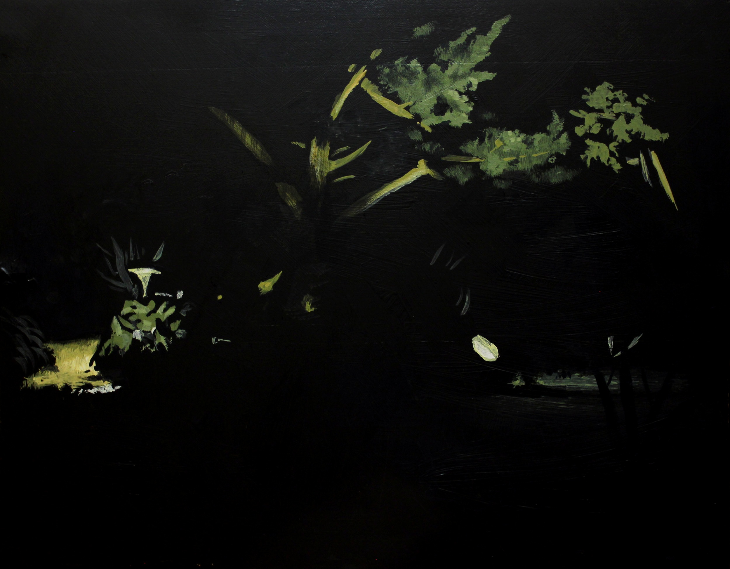   My Backyard At Night  acrylic on wood, a spotlit cedar tree. 2016  exhibited -  Bailey Contemporary Arts during Anything And Everything From The Past 2022;   Mac Art during Curated 2019; Main Street Arts, Clifton Springs, NY 2019; Daggerwing Nature