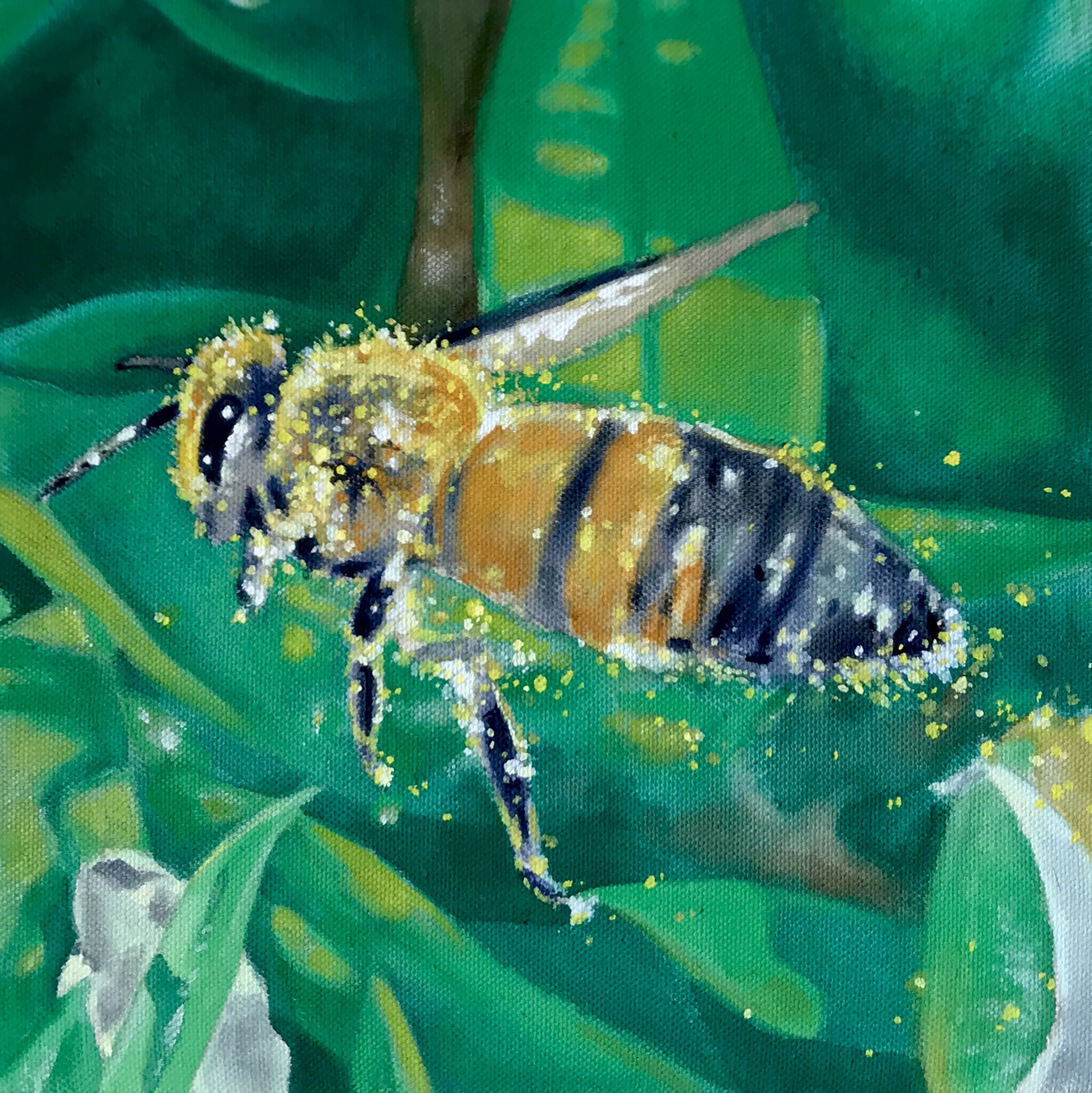   Bee With Pollen  acrylic on raw canvas. 2018  exhibited - Memory Trees, Lake Worth 2023;  Bailey Contemporary Arts during Anything And Everything From The Past 2022; Daggerwing Nature Center, Boca Raton, FL 2018  