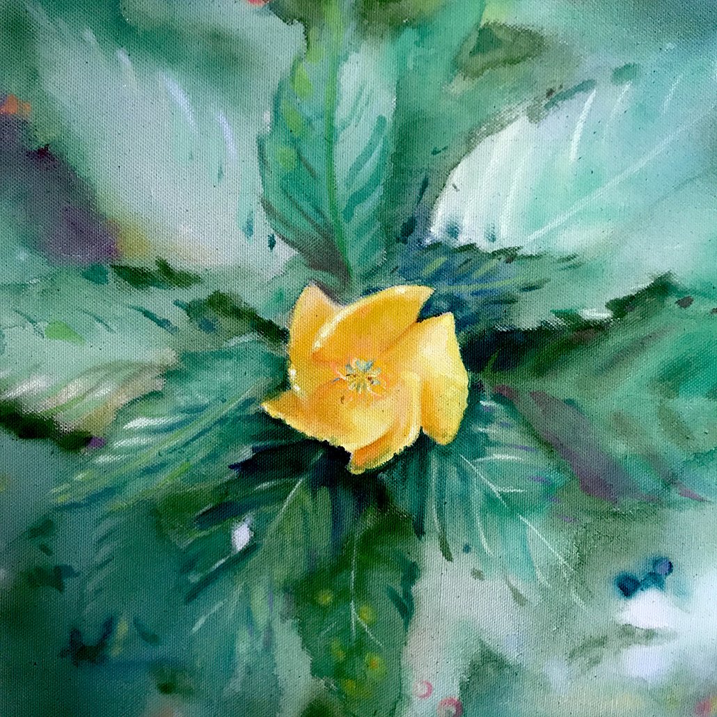   Beach Buttercup  gouache on raw canvas. 2016  exhibited -  Memory Trees, Lake Worth 2023; Daggerwing Nature Center, Boca Raton, FL 2016  