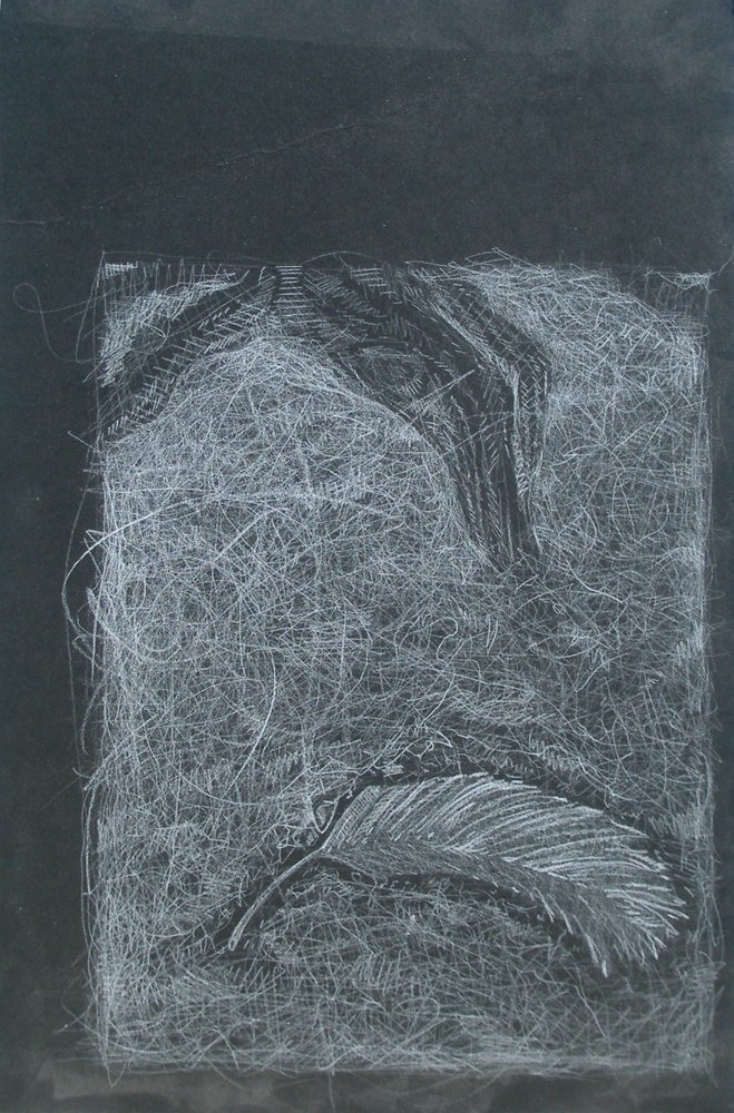   Golden Feather  chalk on paper. 2010 