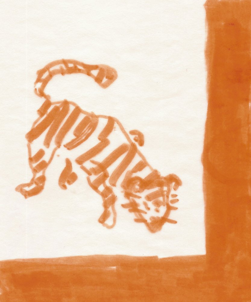   Tiger  ink on vellum. 2010 