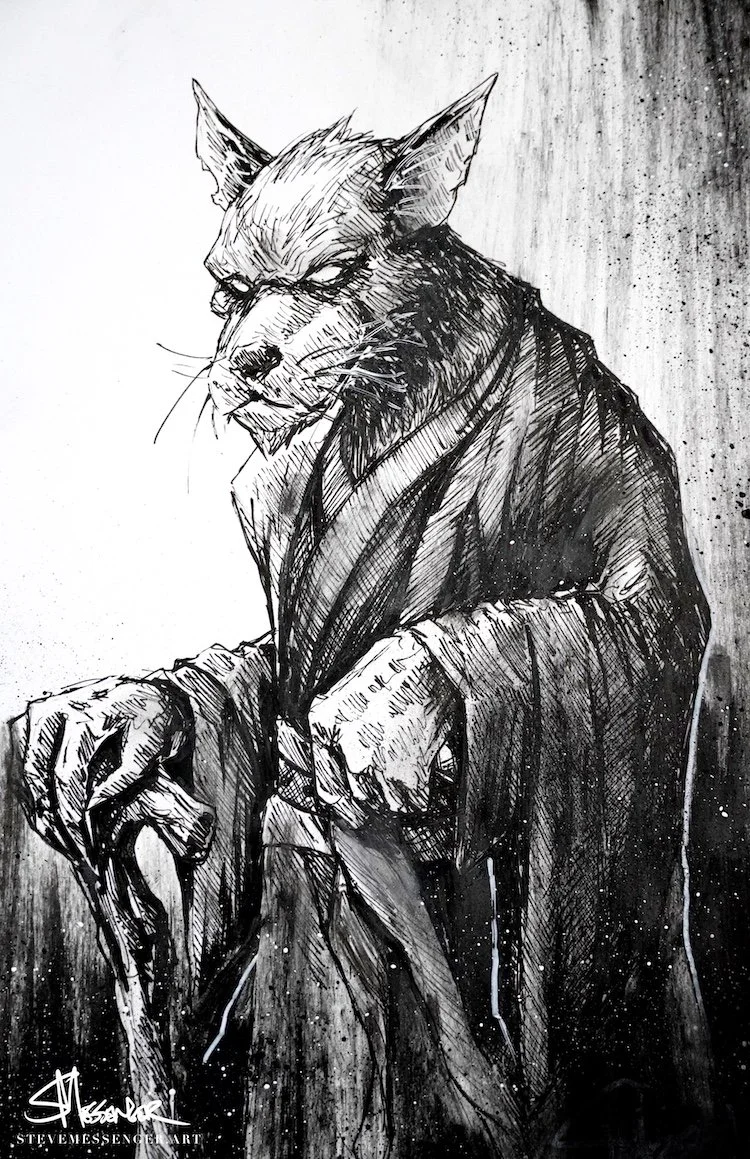 tmnt splinter.jpg
