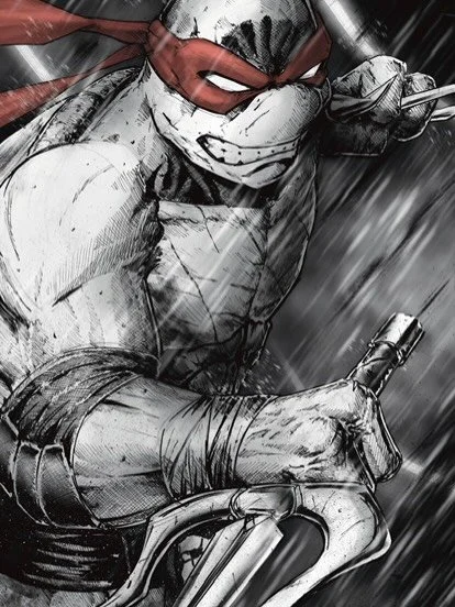 DID YA WANT SOME TURTLE PRINTS? I&rsquo;m down to my last few sets of these. If you want the link to buy these, sign up for the newsletter on my site! Go to stevemessenger.art there&rsquo;s a pop up window that will prompt you. I&rsquo;m going to sen