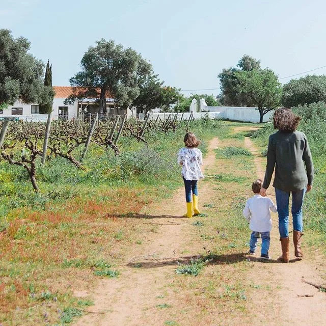 VISITING US is not just about learning about wine and our passion for growing grapes and making wine&mdash;it&rsquo;s also an opportunity to spend time with friends and family in the most simple of pleasures: a walk through our beautiful, ancient vines. .
.
.
.
.
.
.
.
.

#algarve #portugal #summer #travel #faro #beach #algarveportugal #lagoa #albufeira #algarvelovers #portogallo #visitalgarve #travelgram #love #trip #algarvecoast #sun #holiday #holidays #vacation #super #instagood #a #lagos #photography #nature #algarvewine