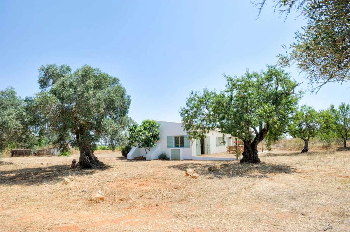 almond-house-morgado-do-quintao-02.jpg