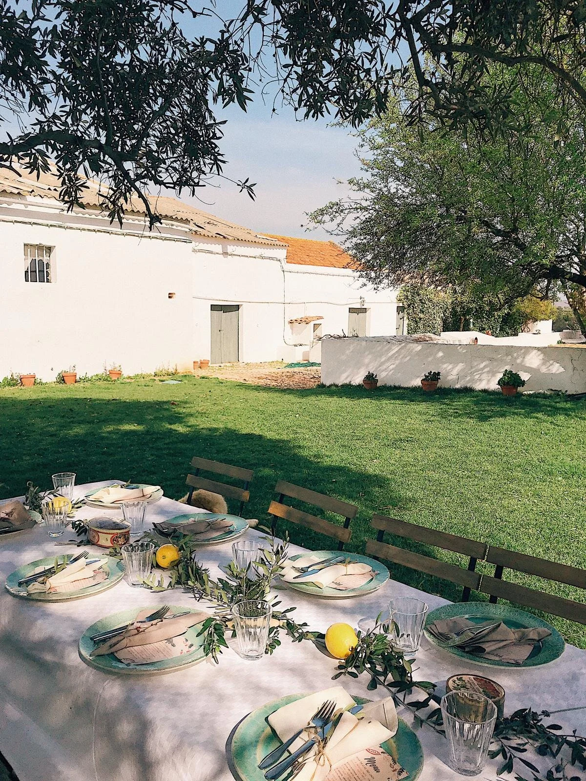 WhatsApp Image 2019-02-16 at 17.22.58.jpeg