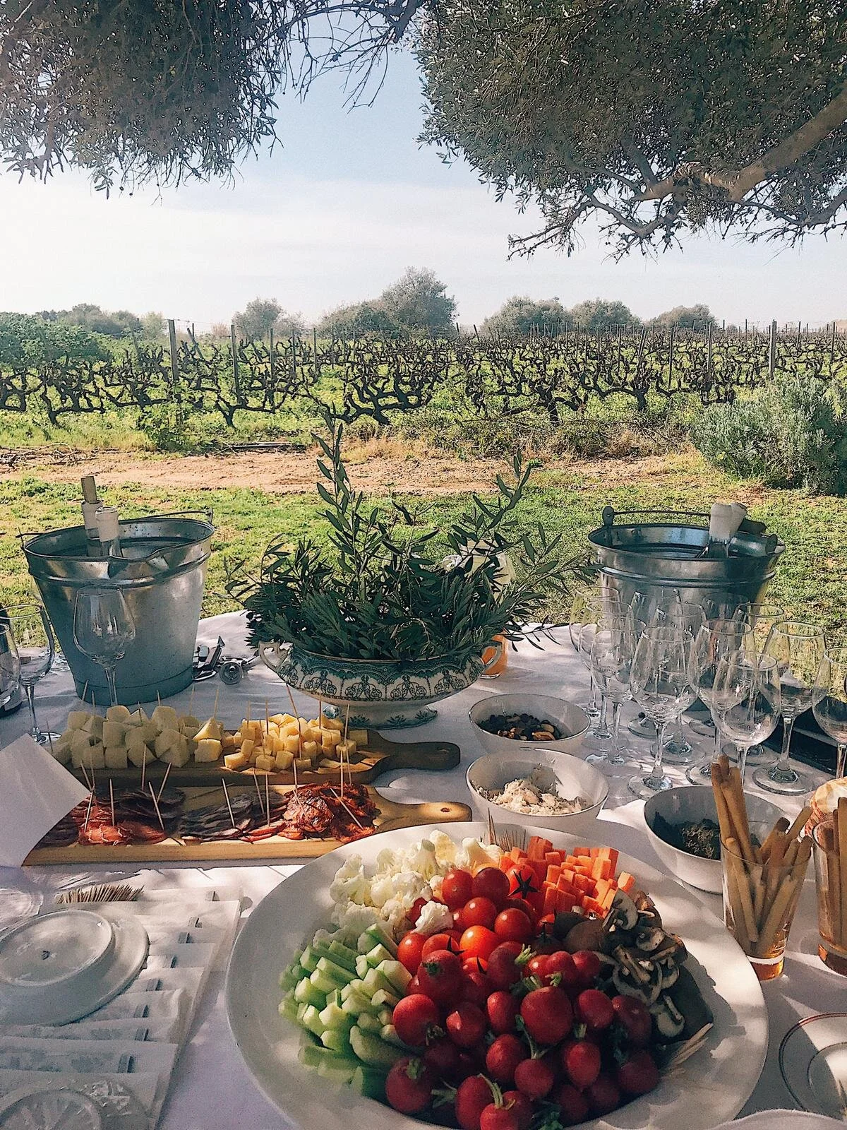 WhatsApp Image 2019-02-16 at 17.23.01(2).jpeg