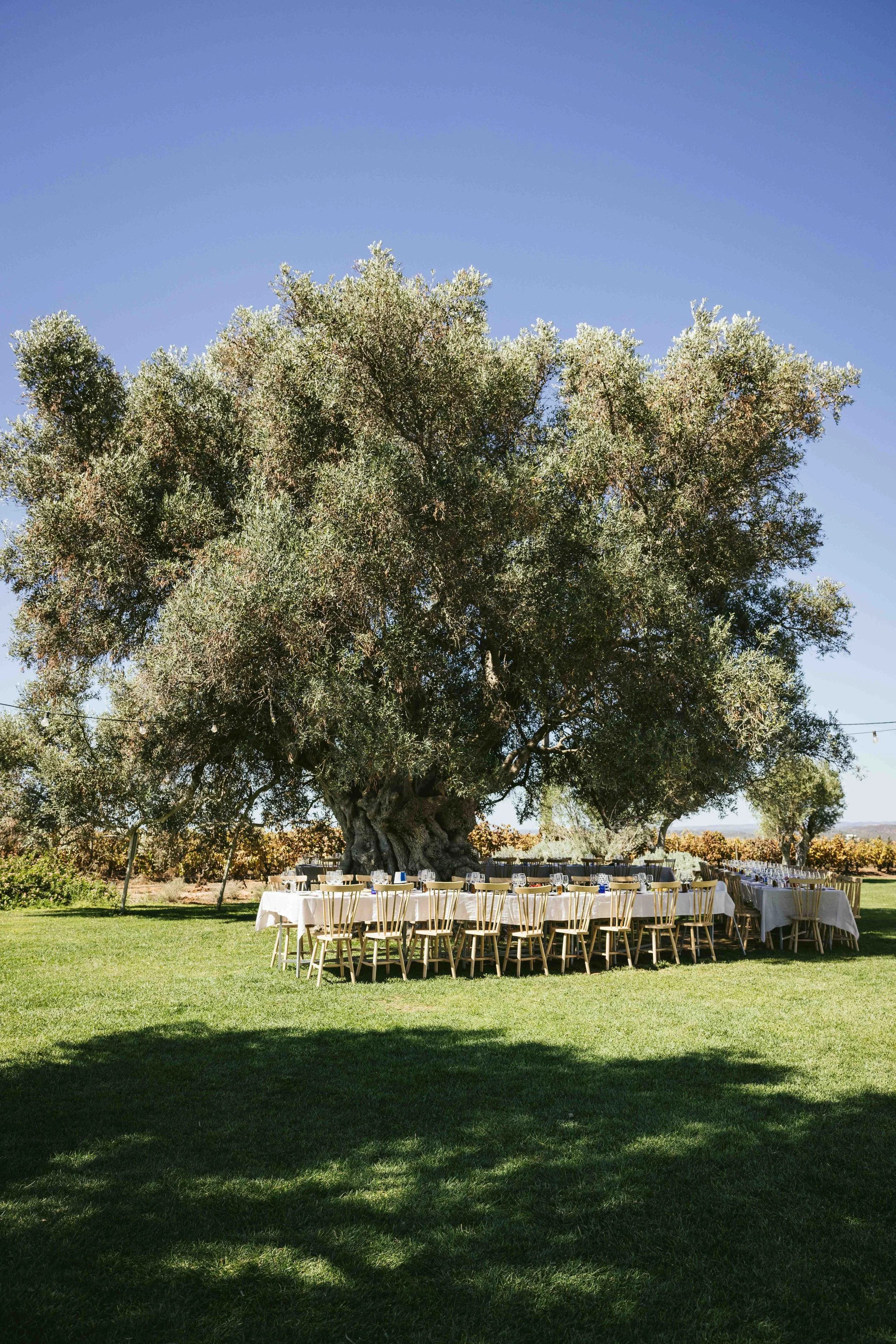 20230924JF_RESIDENCIA JR ALGARVE DIA 3 LR-45.jpg