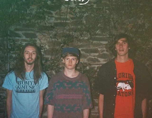 rsz_red_cords.jpg