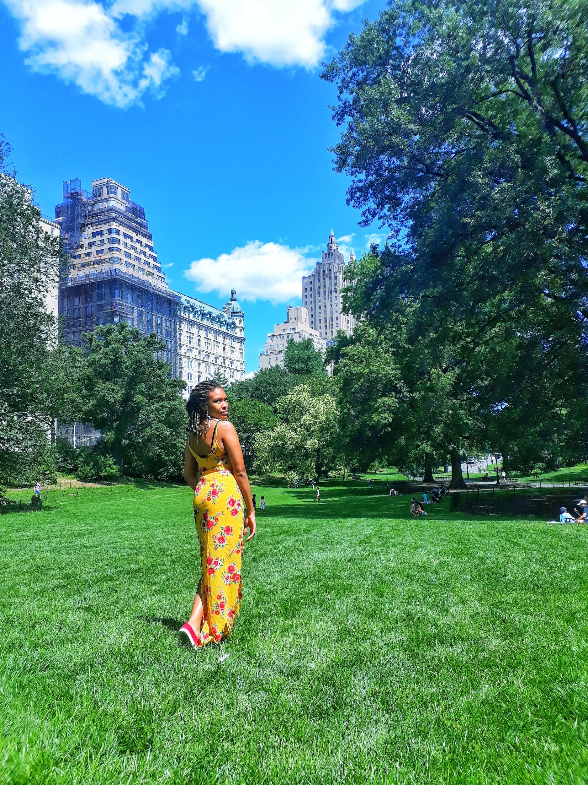 Central Park (NYC)