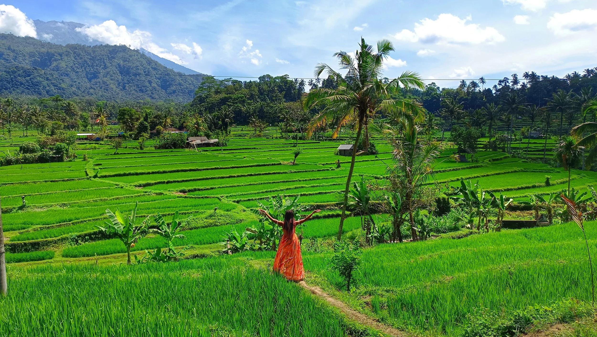 Where to Stay in Bali: The Ultimate Guide to the Island's Best Regions 