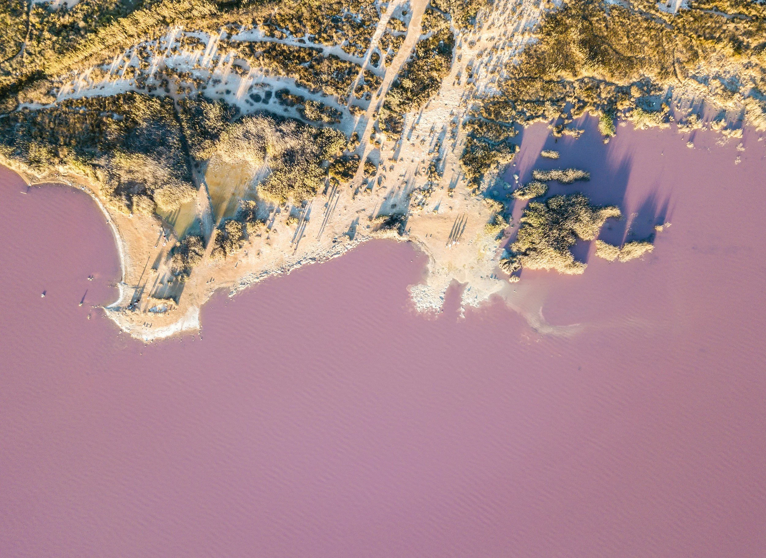 Touring Torrevieja: Spain’s Pink Lake