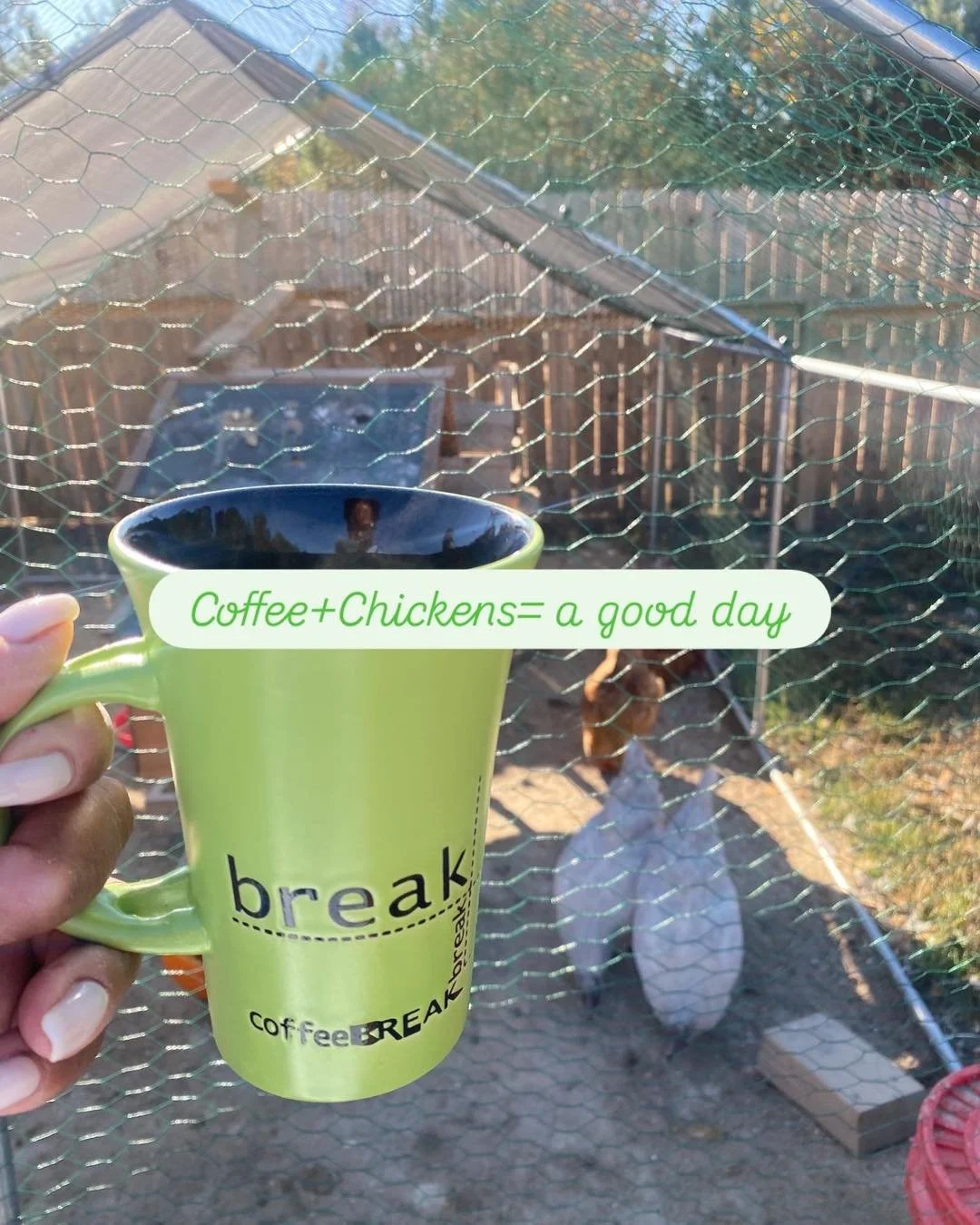 ☕🐔 Coffee, Chickens &amp; A Country Plot Twist (Marriage Edition)

A couple years ago, in my early twenties, he would always say that once he retired, we would move to the country somewhere.
And my exact words probably sounded just like:
&ldquo;You 