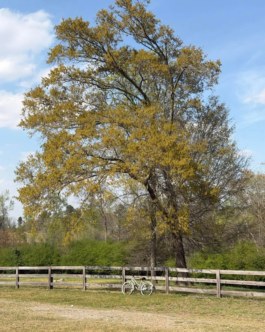 Stress doesn&rsquo;t stay quiet in a relationship&mdash;it shows up in your tone, your silence, your reactions, and even your distance. 

The real question is, how is your stress speaking to your spouse? Because even when you don&rsquo;t say it, you 