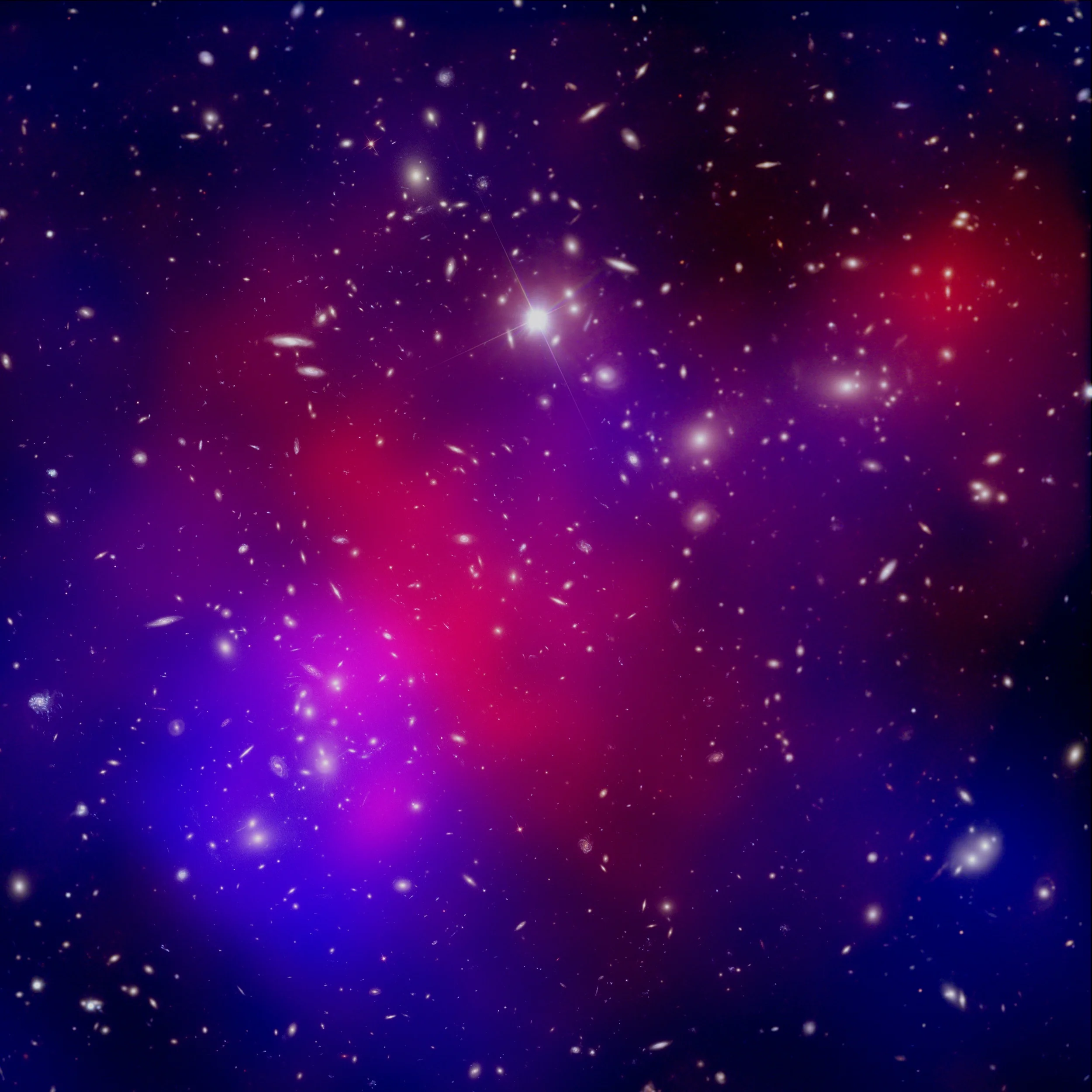 a2744_lg_2.jpg