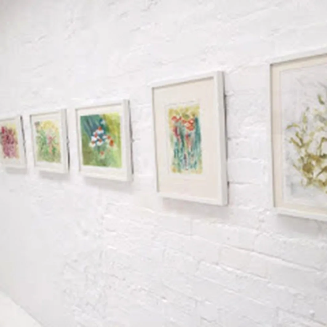 for+web+2016+Asylum+Art+Gallery+Linda%27s+Florilegeum+solo+show.jpg