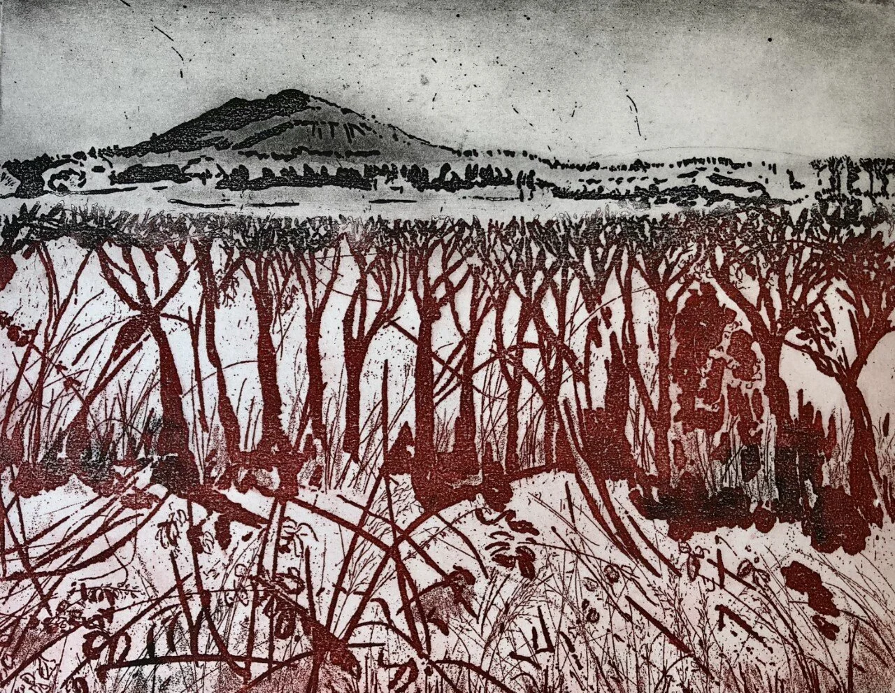 From+hedgerow+to+hillside+(The+Wrekin)-+landscape+-+etching+42x48Linda+Nevill.jpg