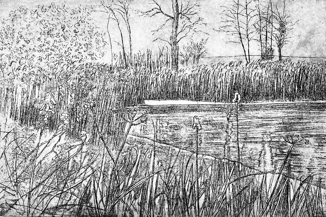 LindaNevill Secret pond etching.jpg