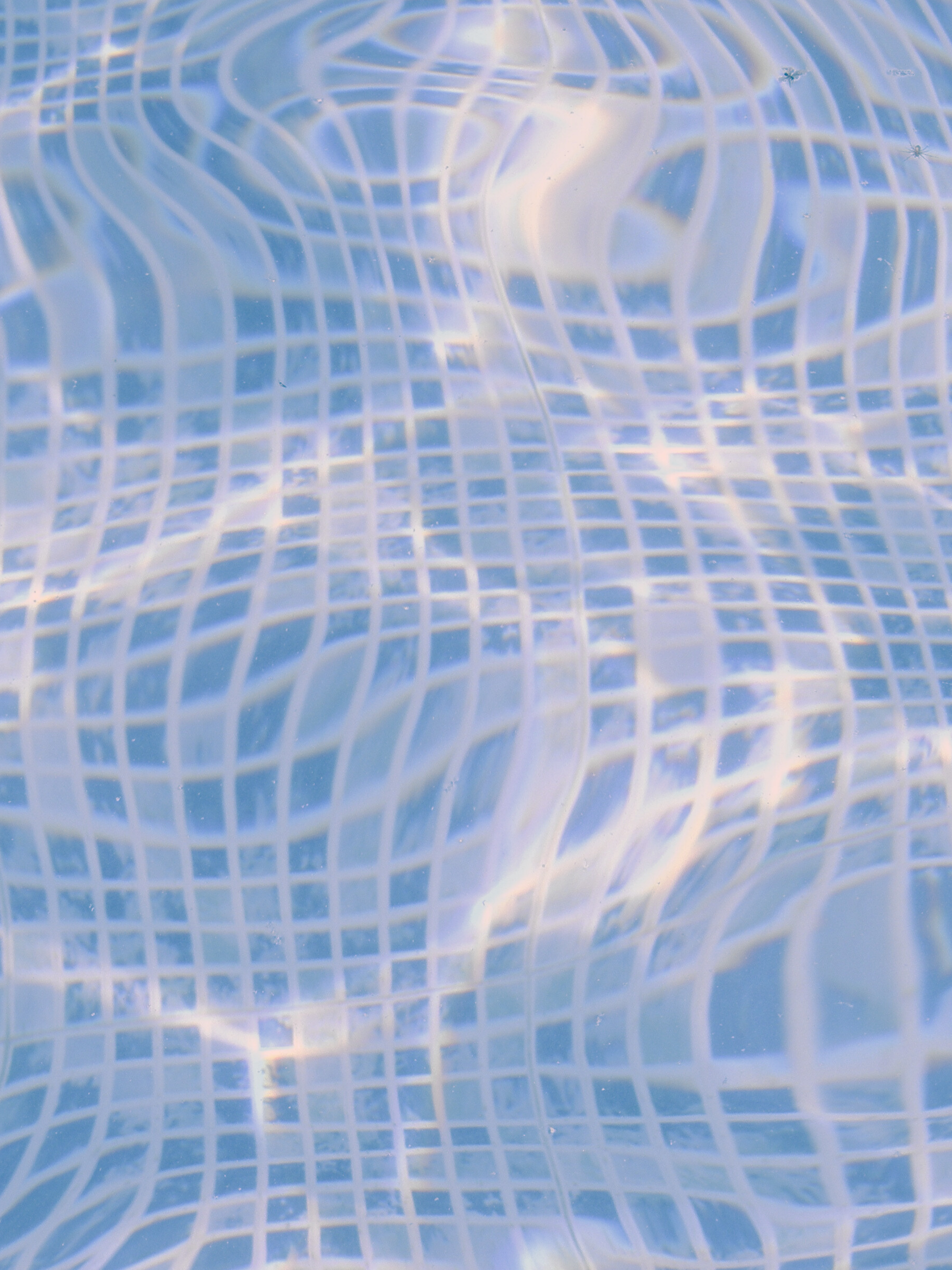 Tile Background Rose.png
